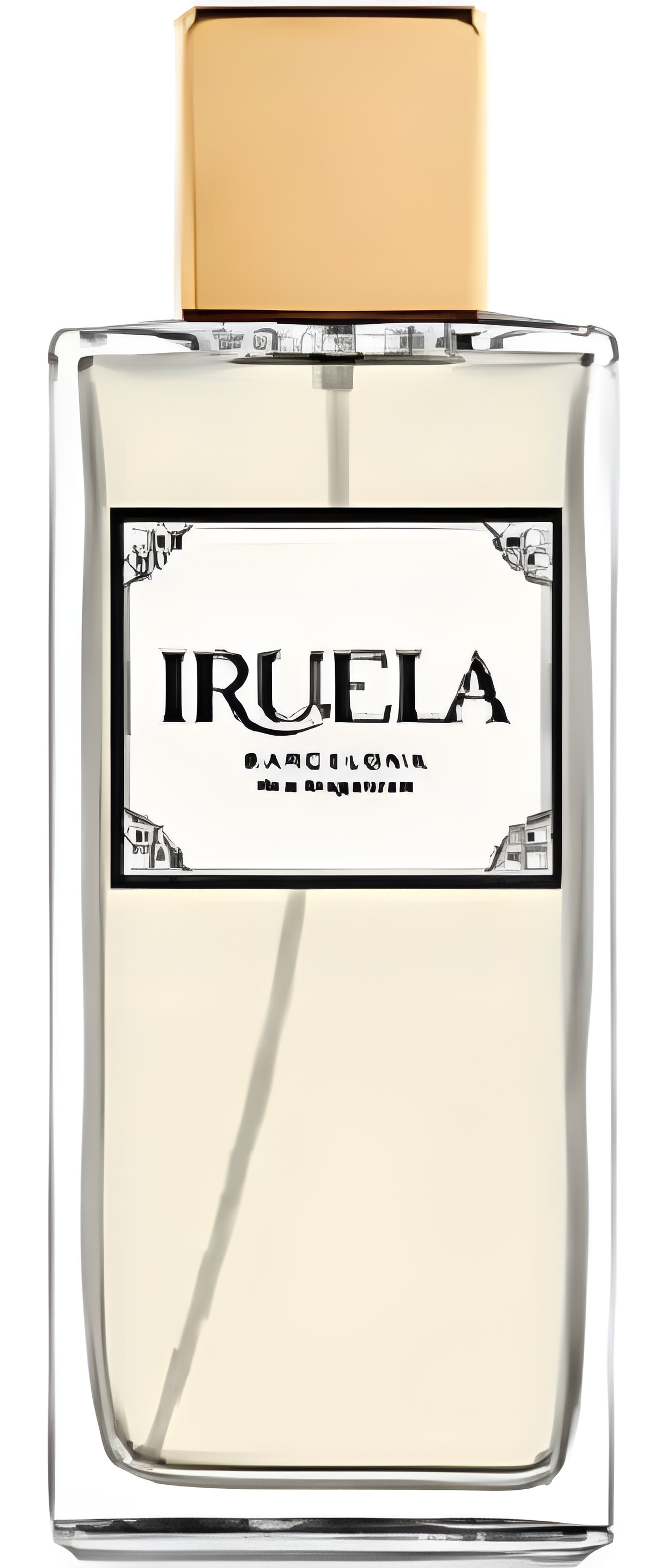 Picture of Citrus Inspiration fragrance