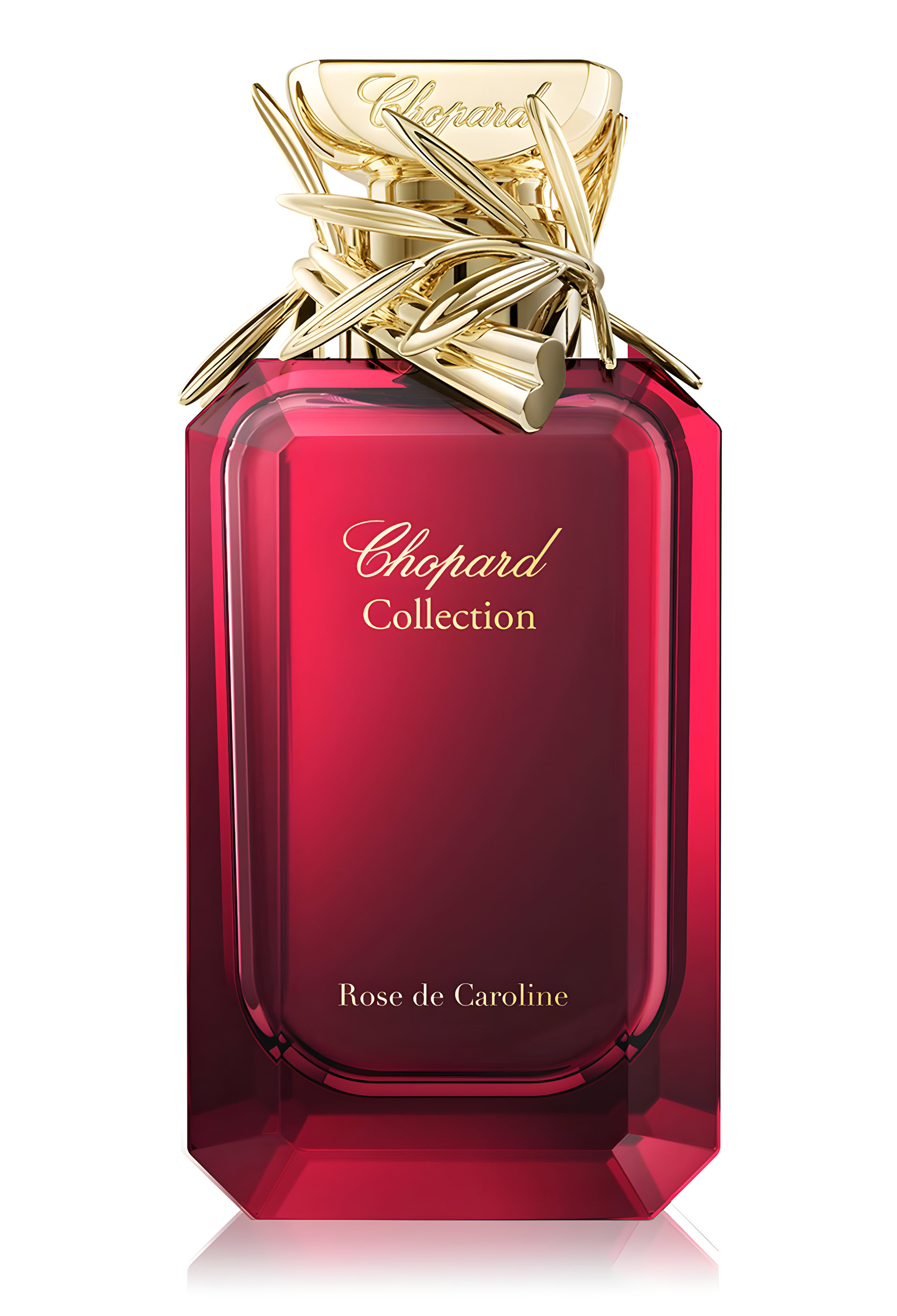 Picture of Rose de Caroline fragrance