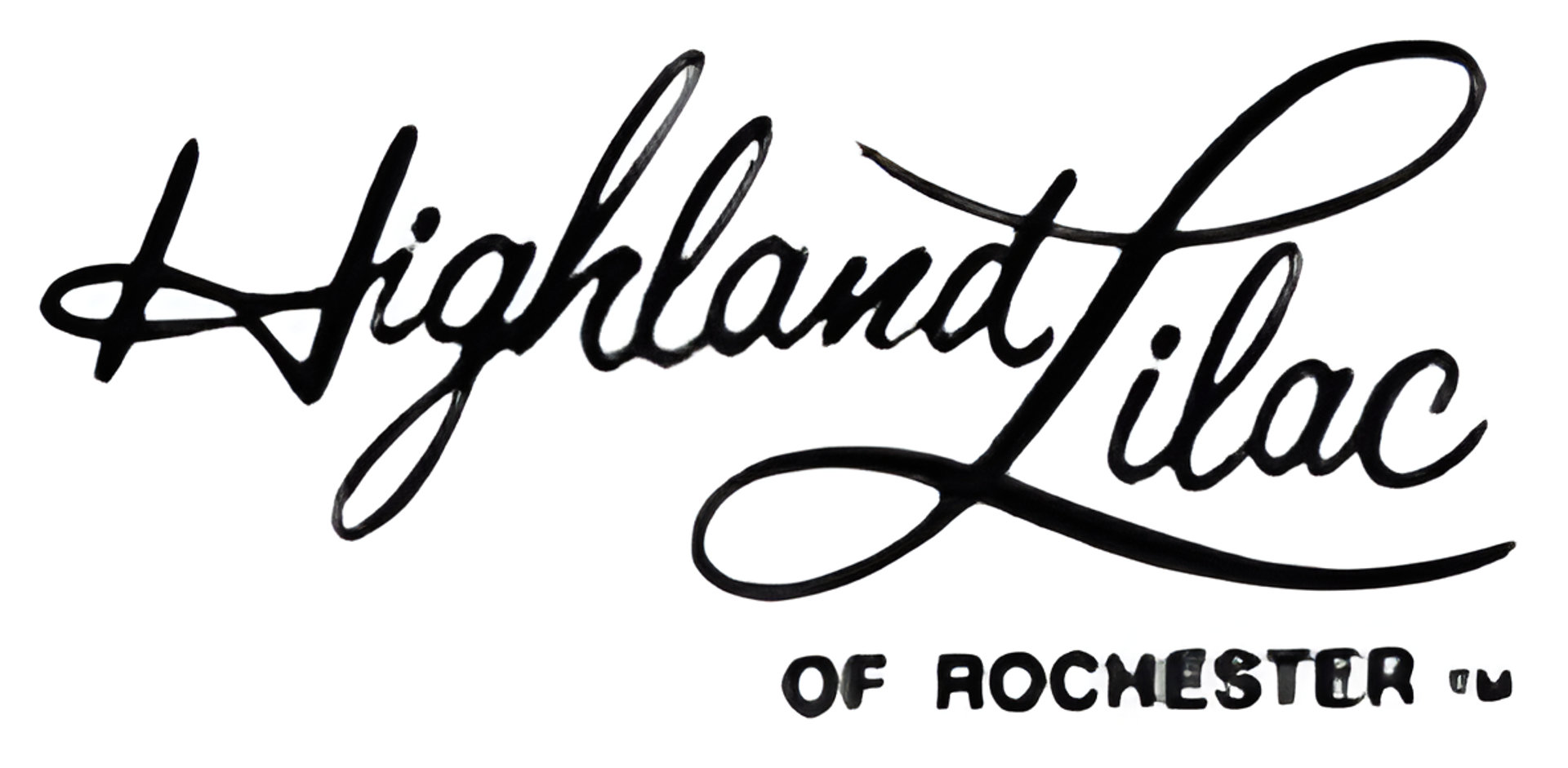 Picture of Highland Lilac of Rochester brand