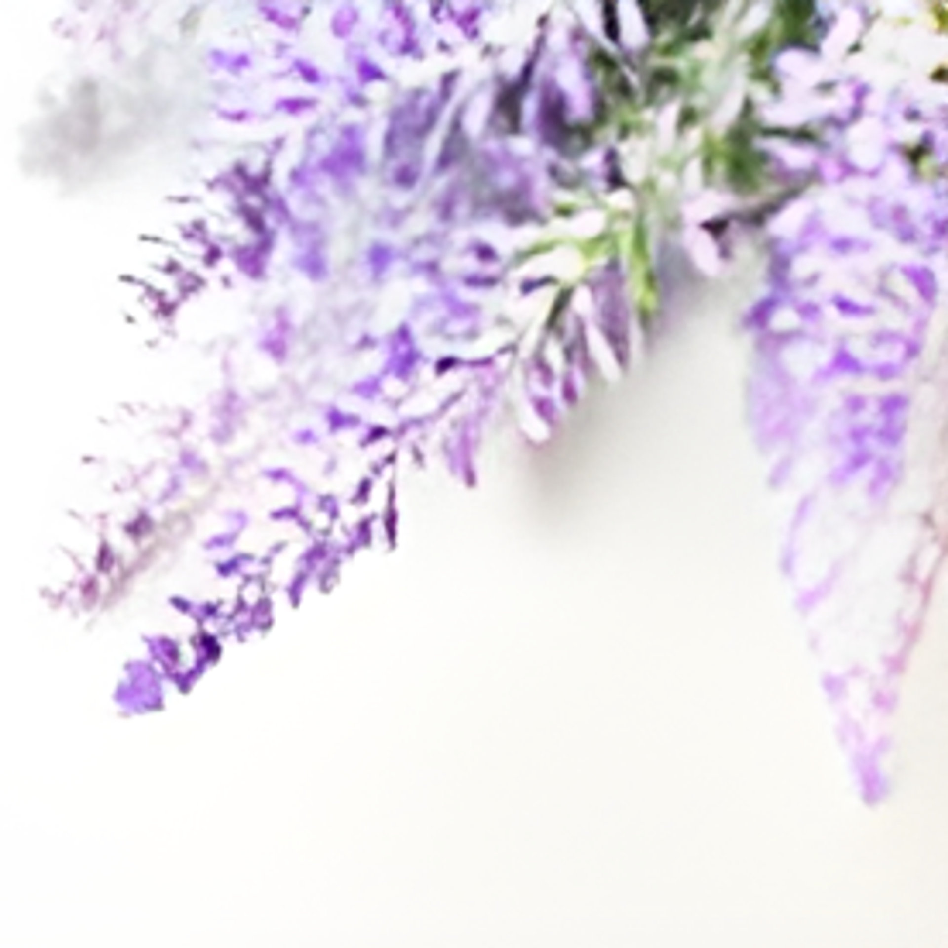 Picture of Aaron Buff perfumer