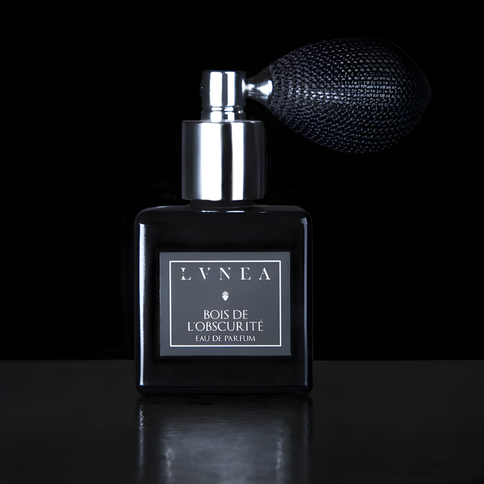 Picture of Bois de l'Obscurité fragrance