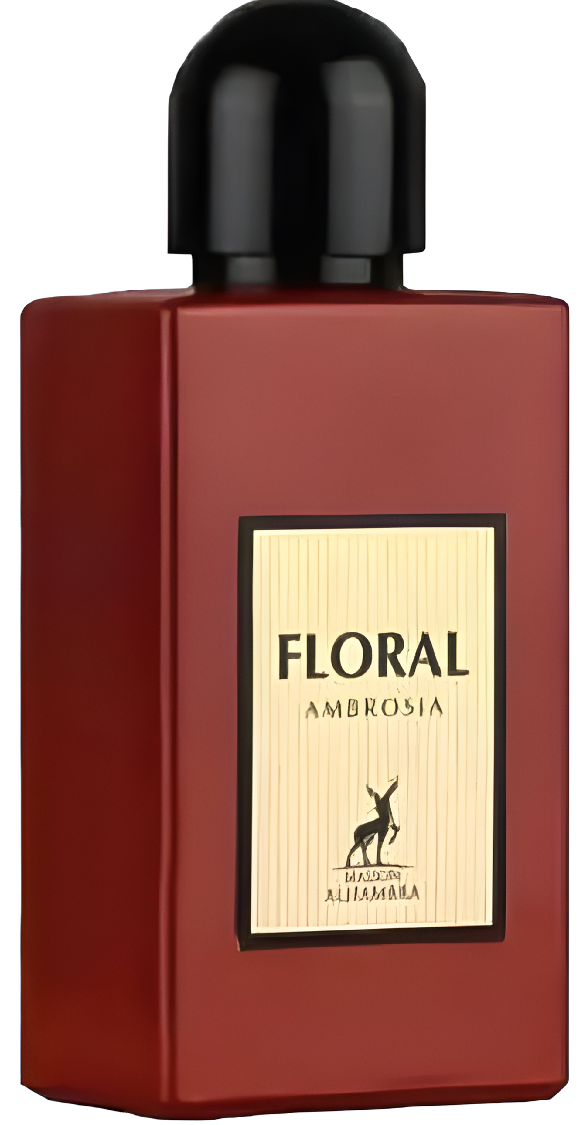 Picture of Floral Ambrosia fragrance