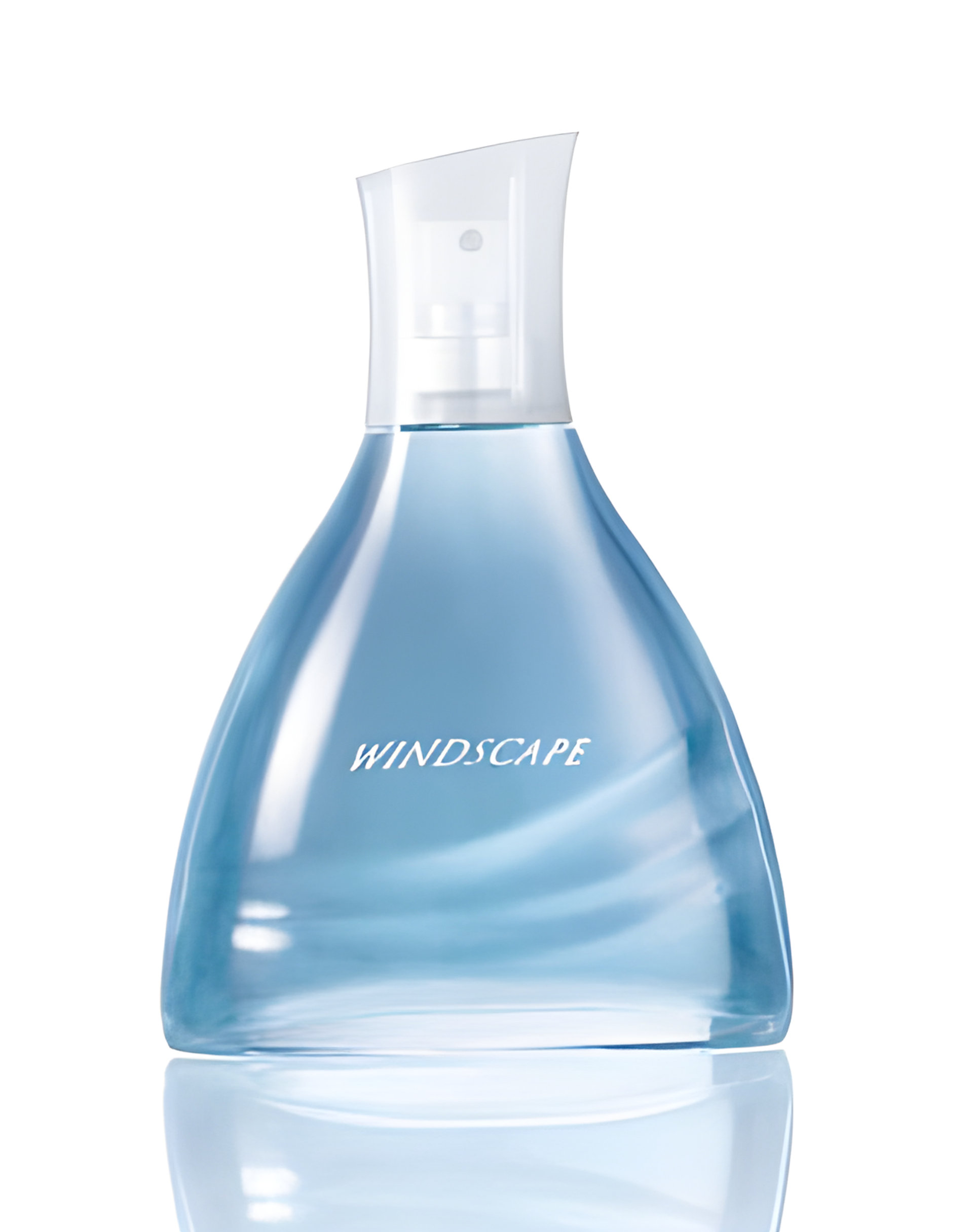 Picture of Windscape for Him fragrance