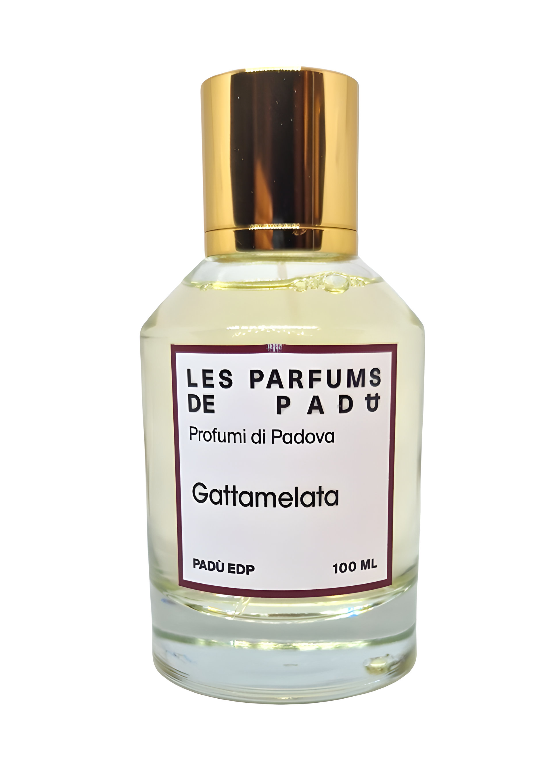 Picture of Gattamelata fragrance