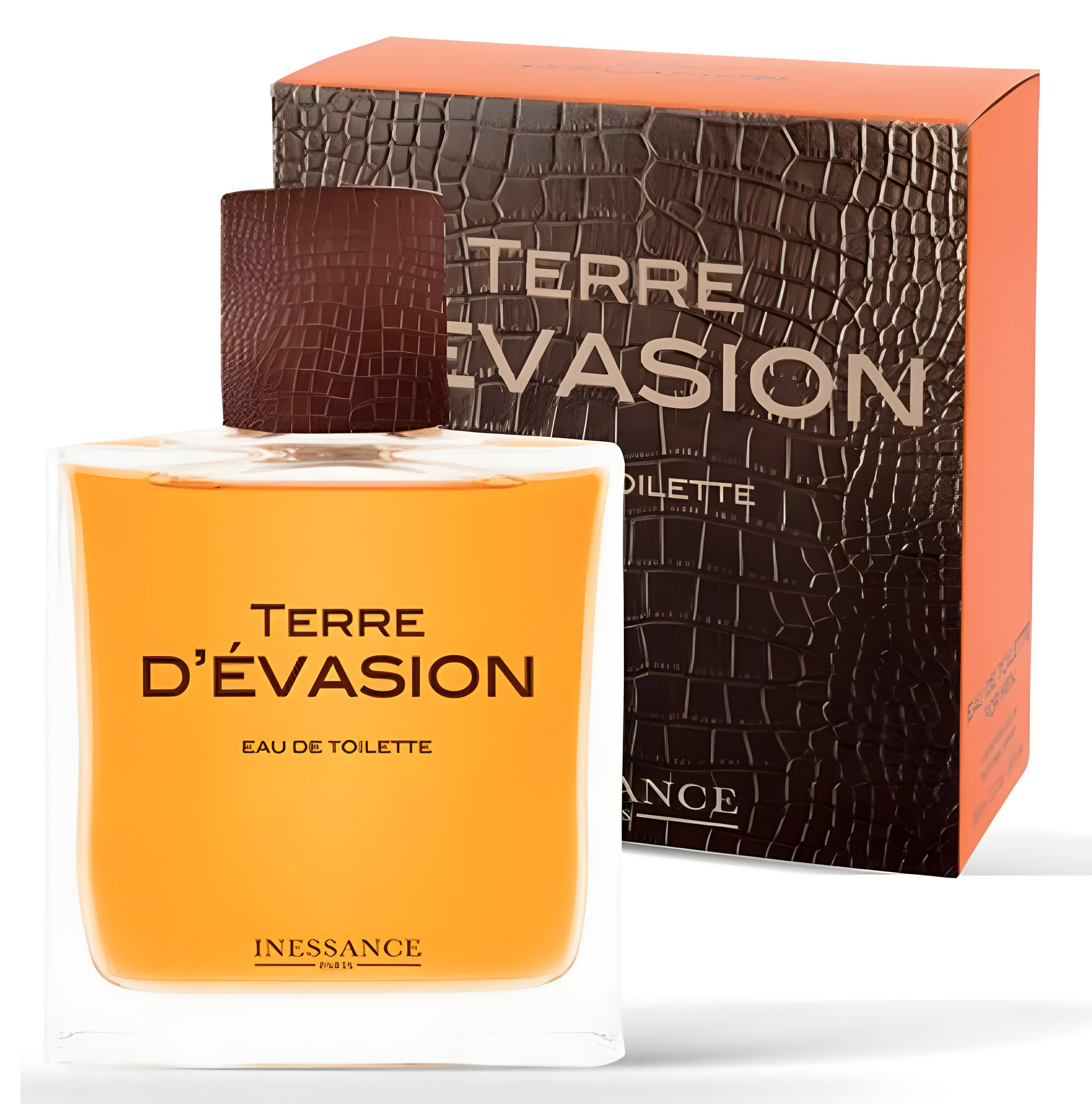 Picture of Terre d'Evasion fragrance