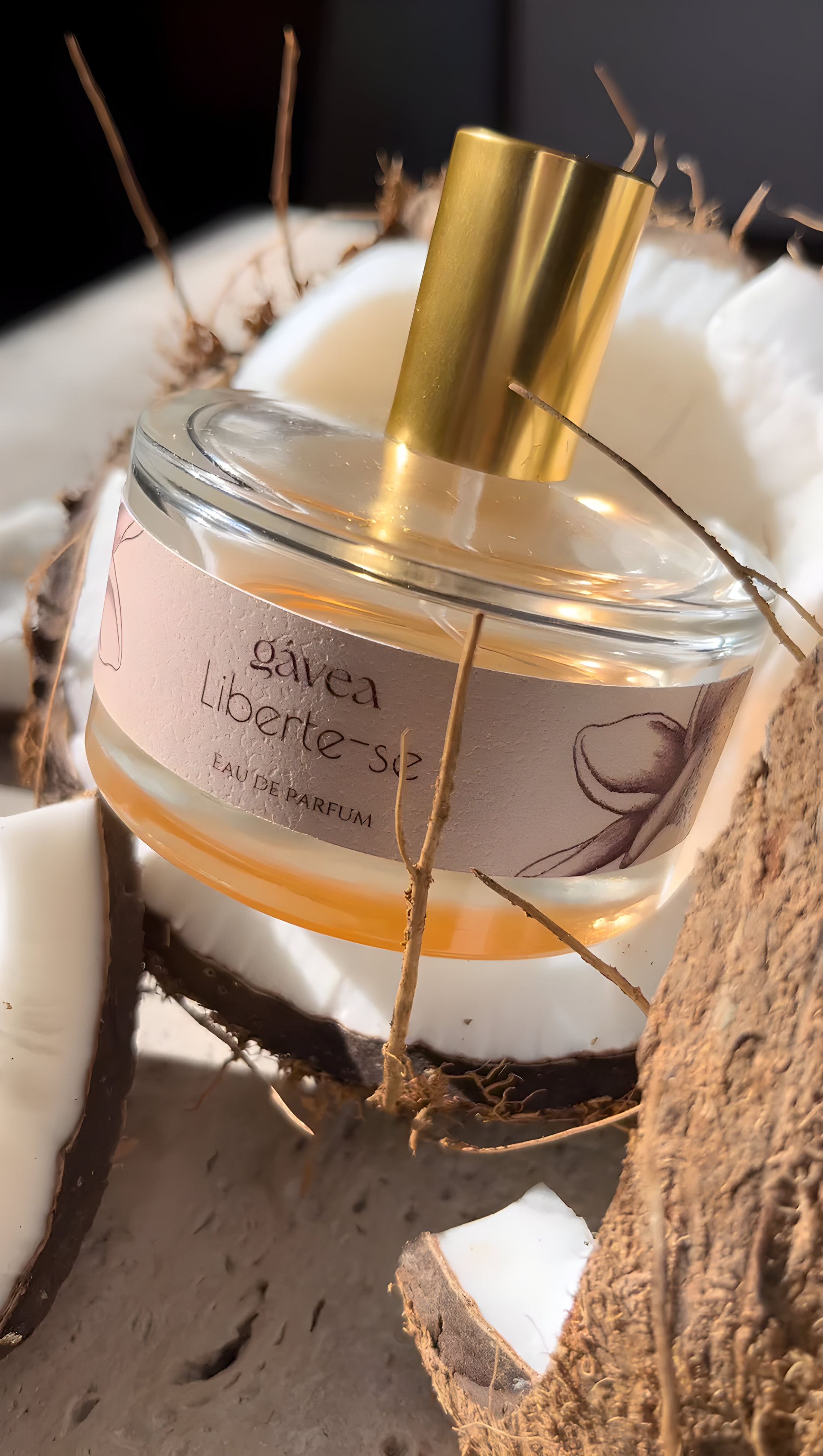 Picture of Liberte-Se fragrance