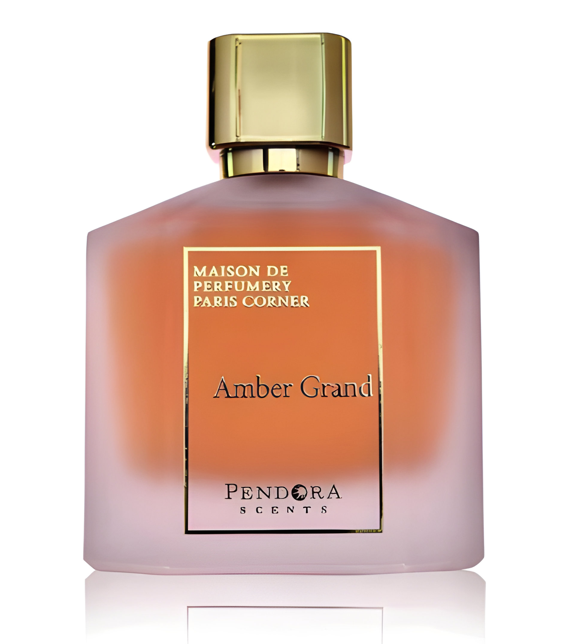 Picture of Amber Grand Pendora fragrance