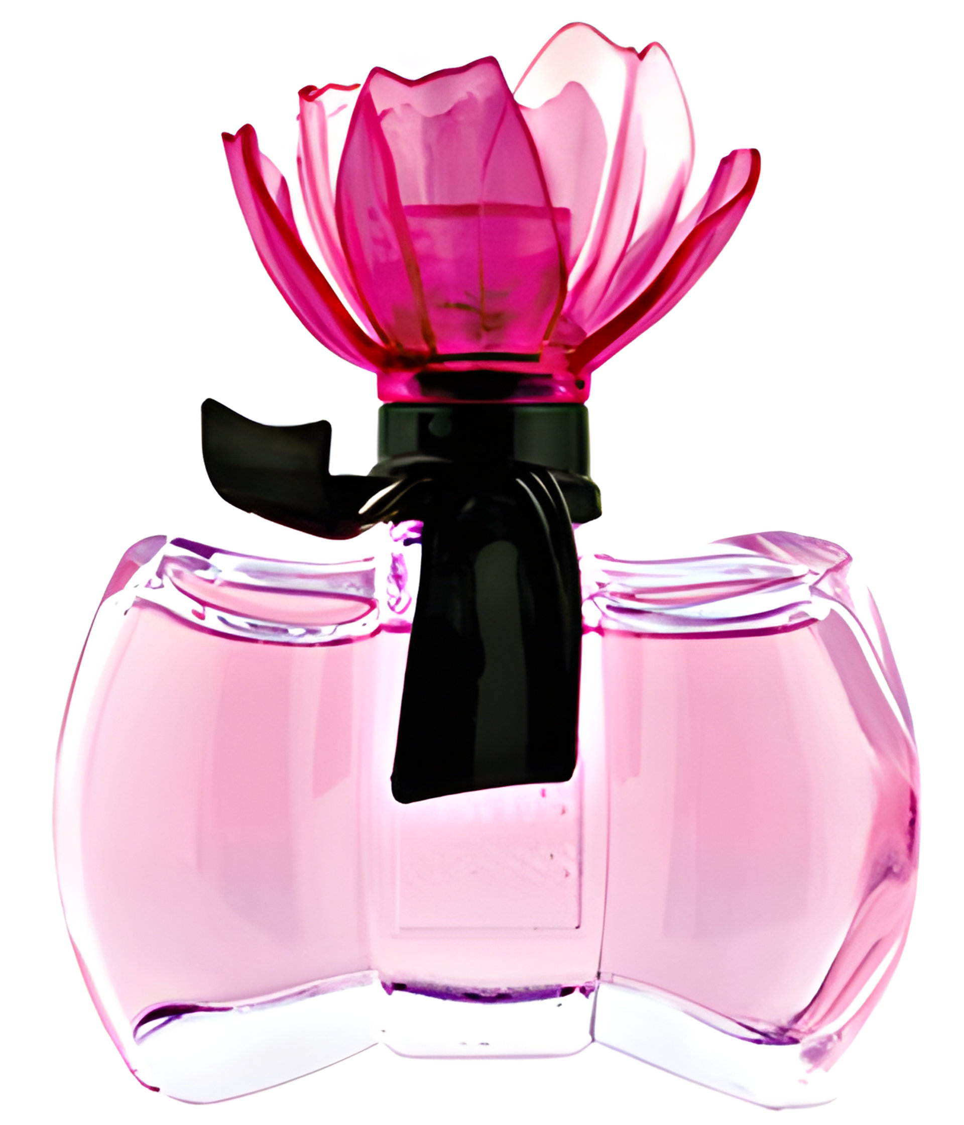 Picture of La Petite Fleur de Paris fragrance