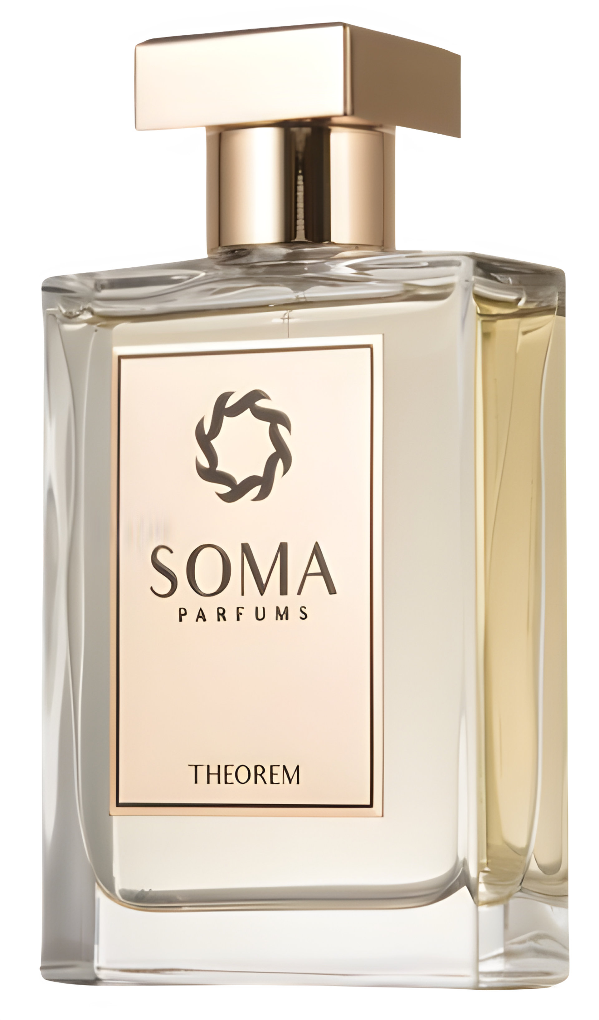 Picture of Theorem fragrance