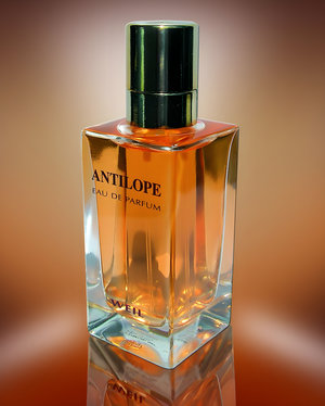 Antilope by Weil perfume bottle