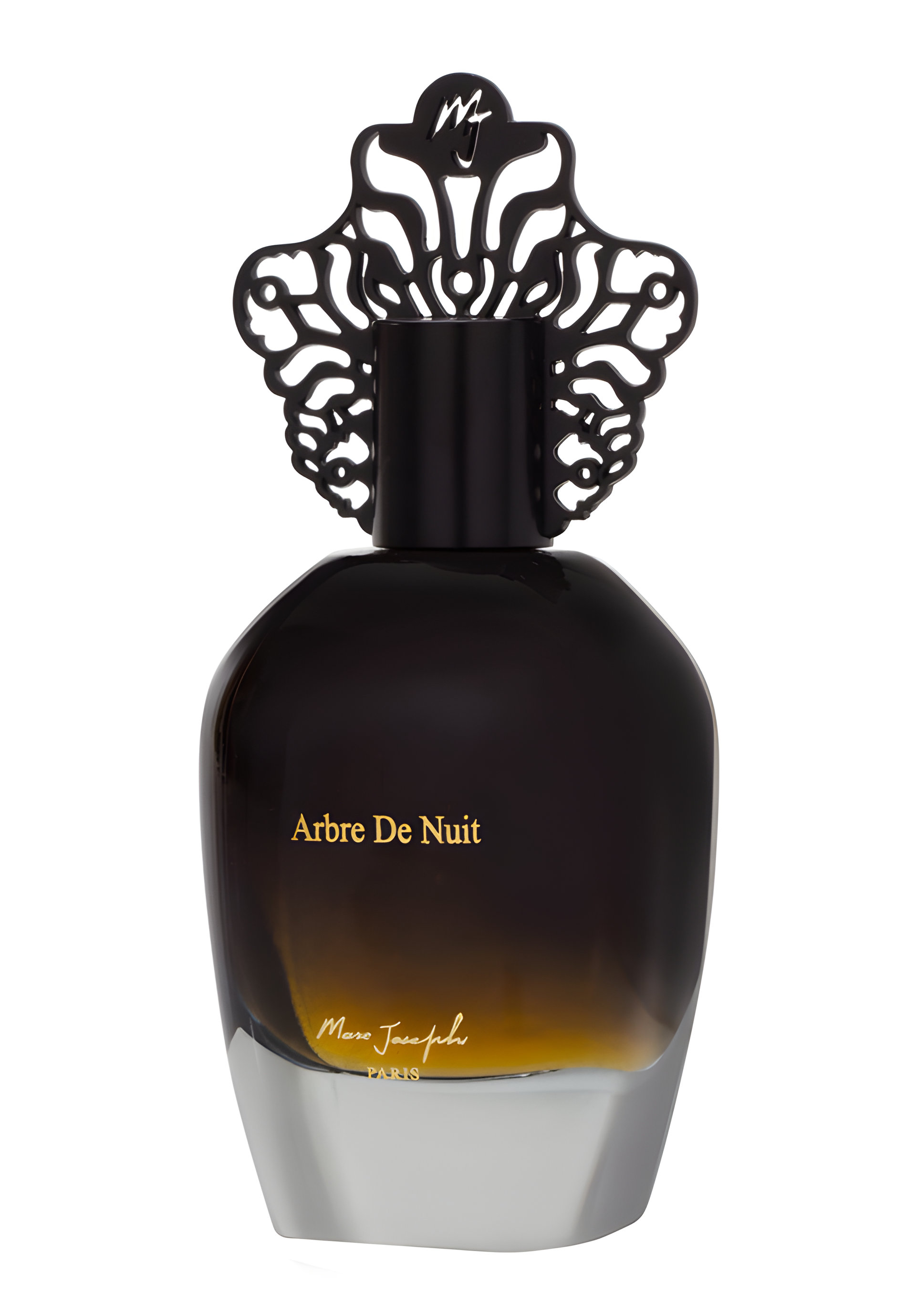Picture of Arbre de Nuit fragrance
