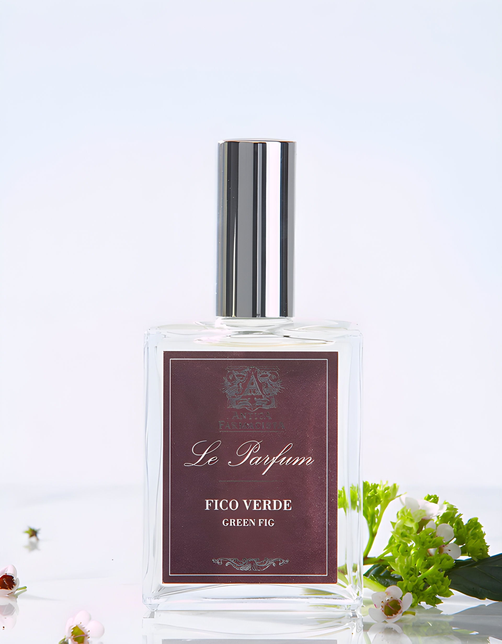 Picture of Green Fig fragrance