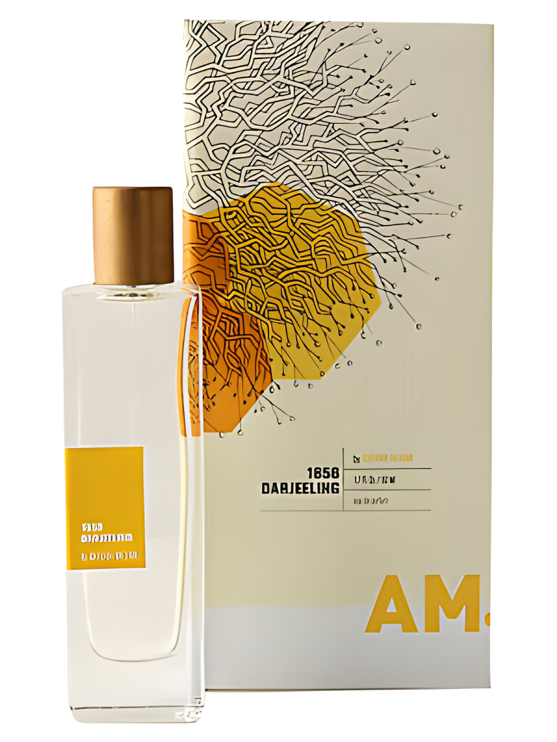 Picture of A Rather Novel Collection 1856 Darjeeling by Adriana Medina fragrance