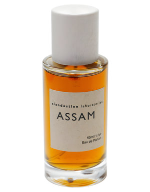 Assam by Clandestine Laboratories perfume bottle
