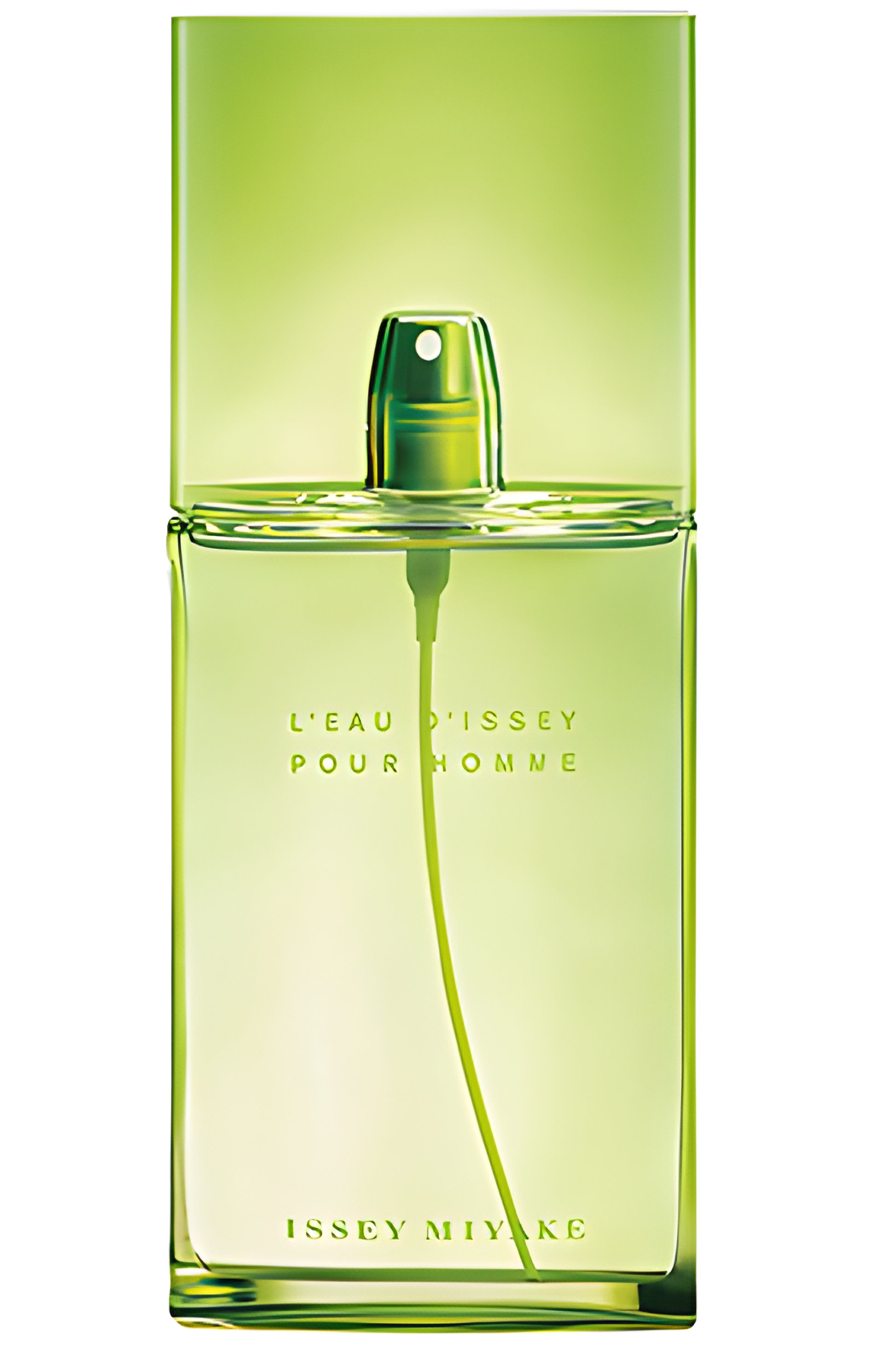 Picture of L'Eau d'Issey Pour Homme Summer 2006 fragrance