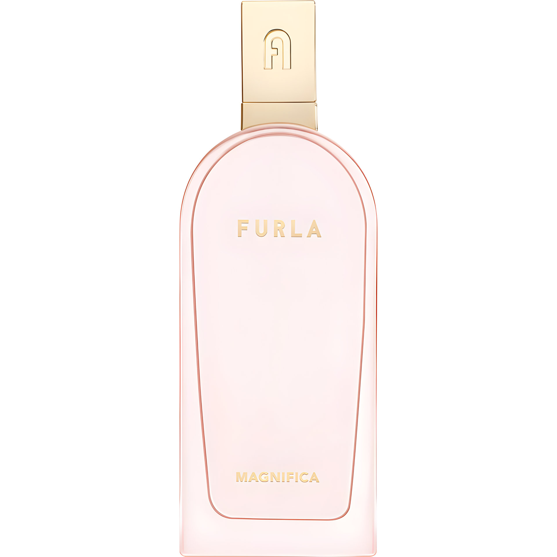 Picture of Magnifica fragrance