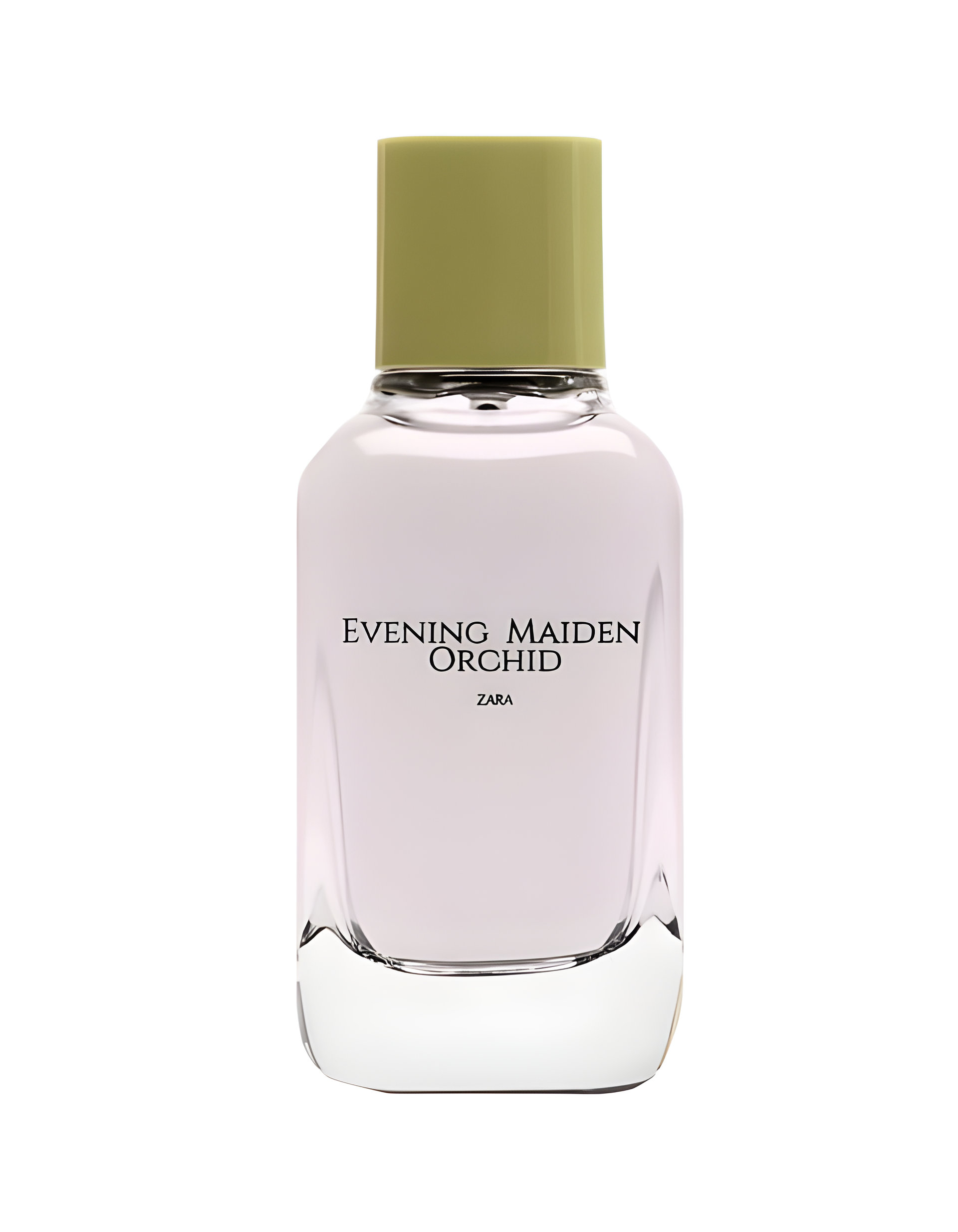 Picture of Evening Maiden Orchid fragrance