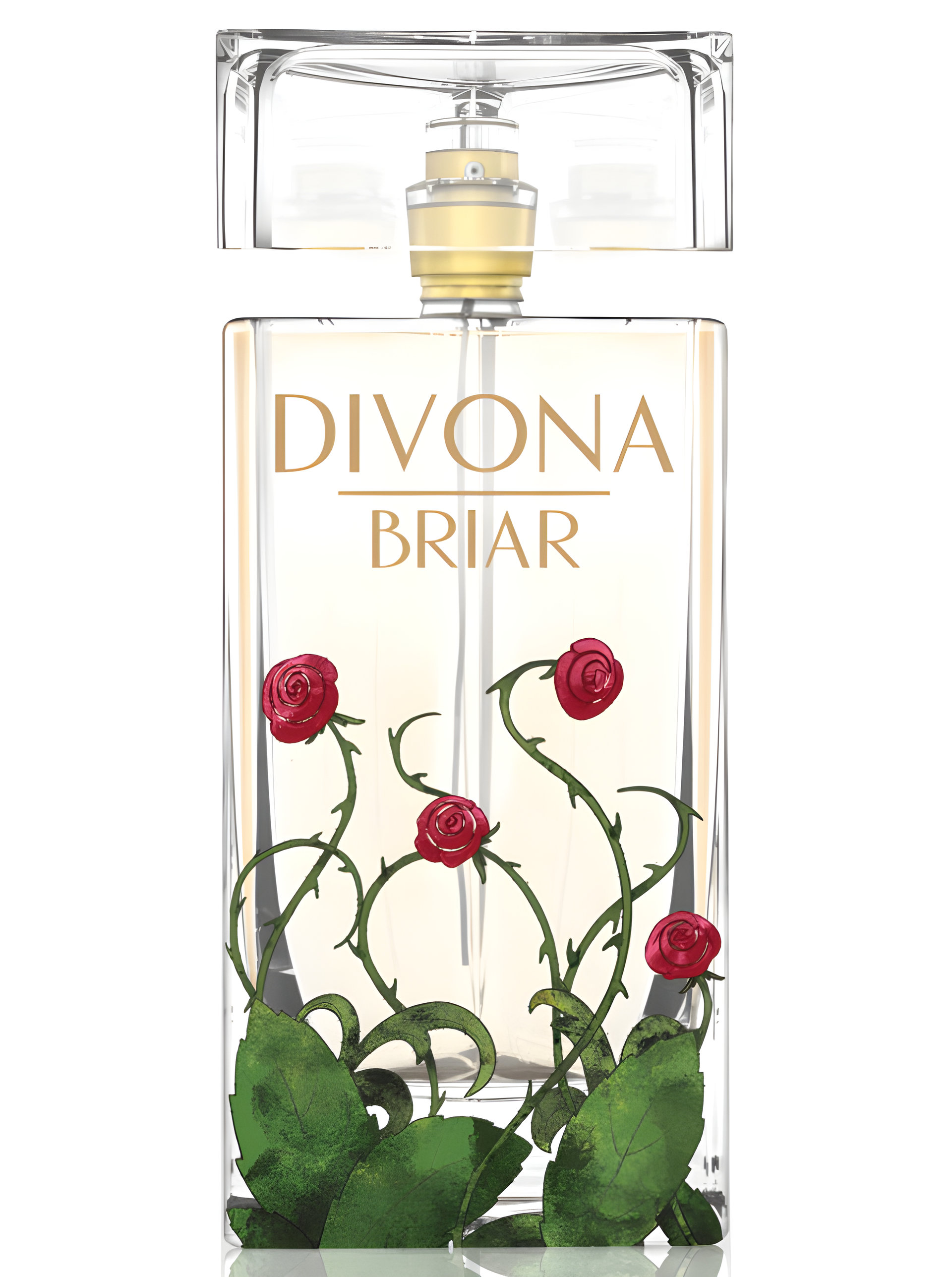 Picture of Briar fragrance