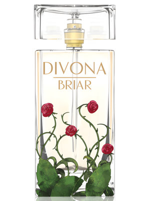 Briar by Divona perfume bottle