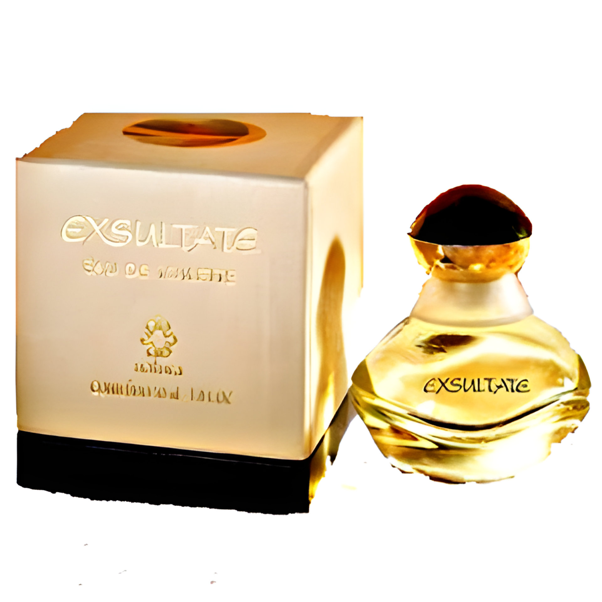 Picture of Exsultate fragrance