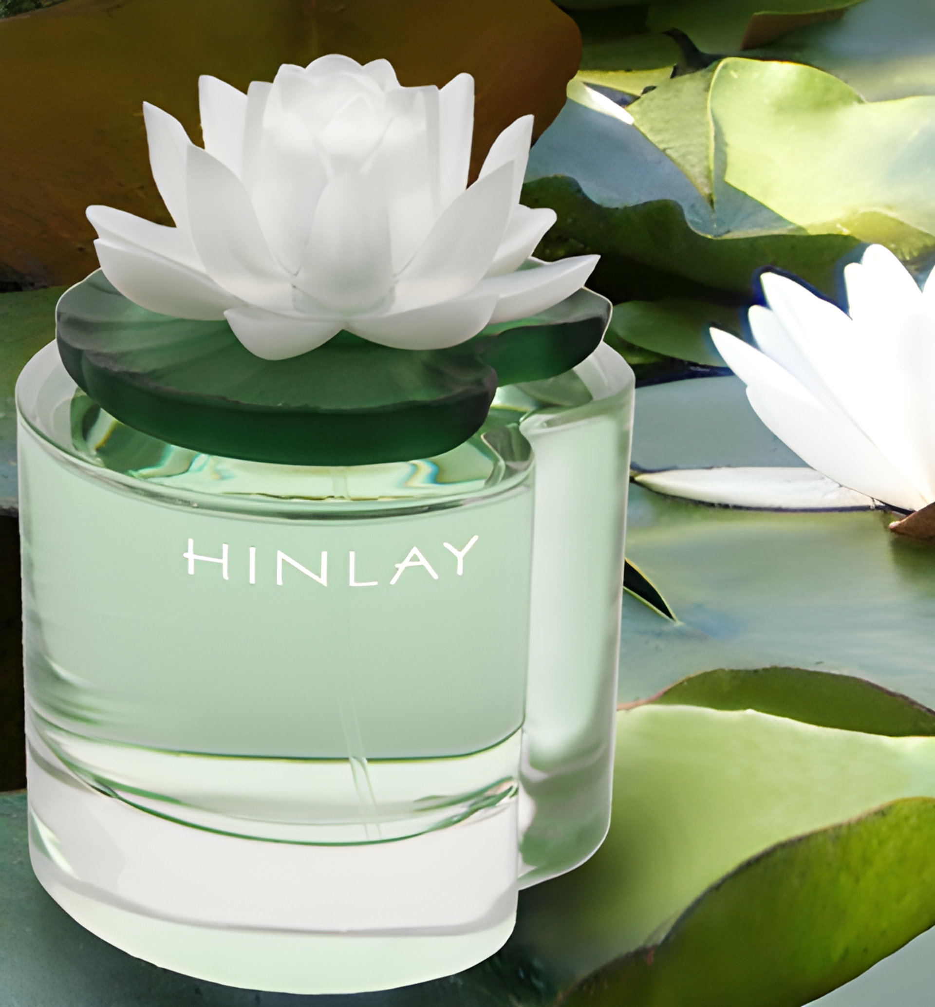 Picture of Hinlay Pour Femme fragrance