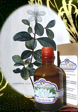 Gardenia by Fragrifert Parfumeur perfume bottle