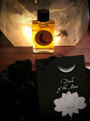 Dark of the Moon by Mermade Magickal Arts perfume bottle