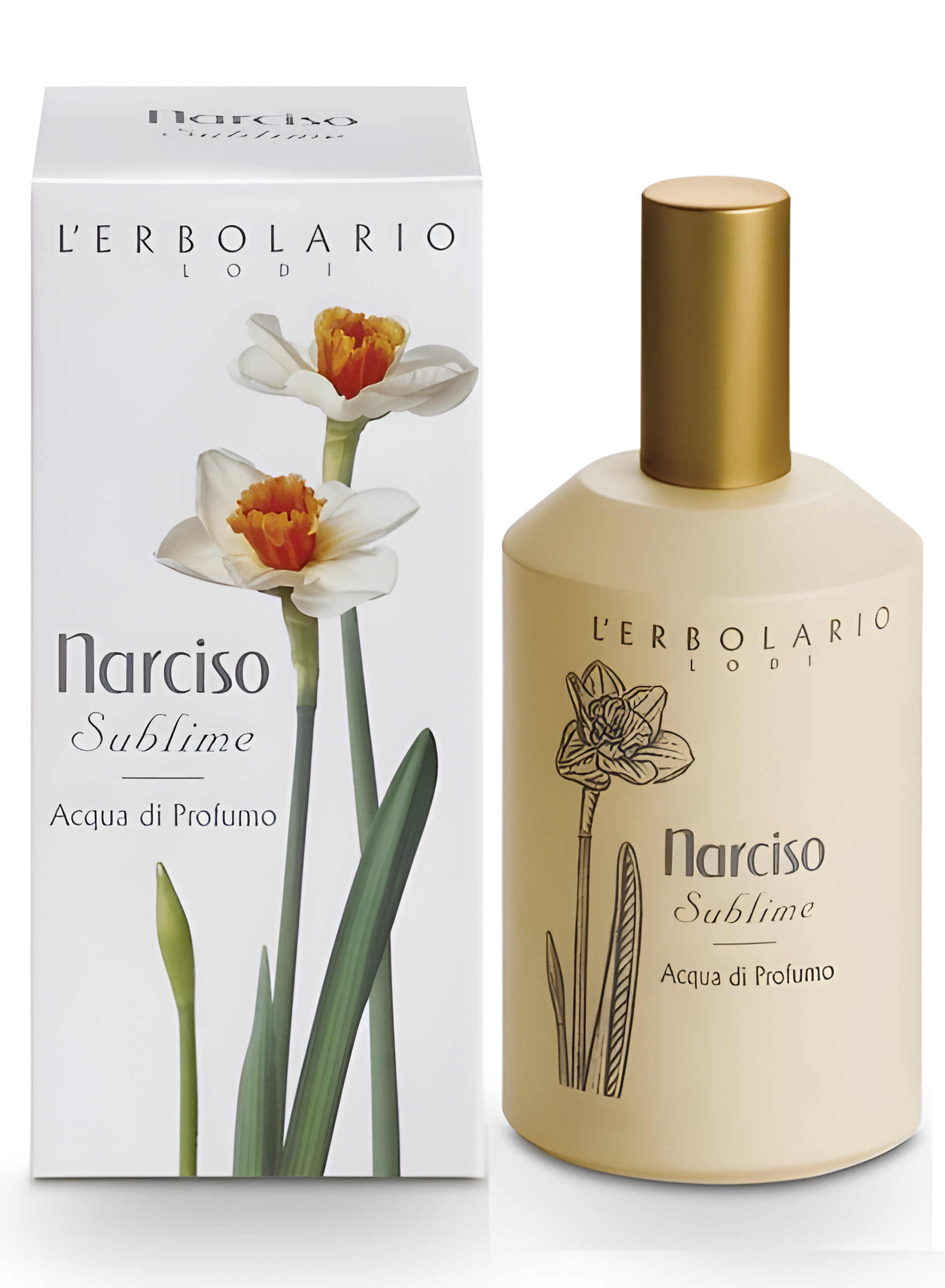 Picture of Narciso Sublime fragrance
