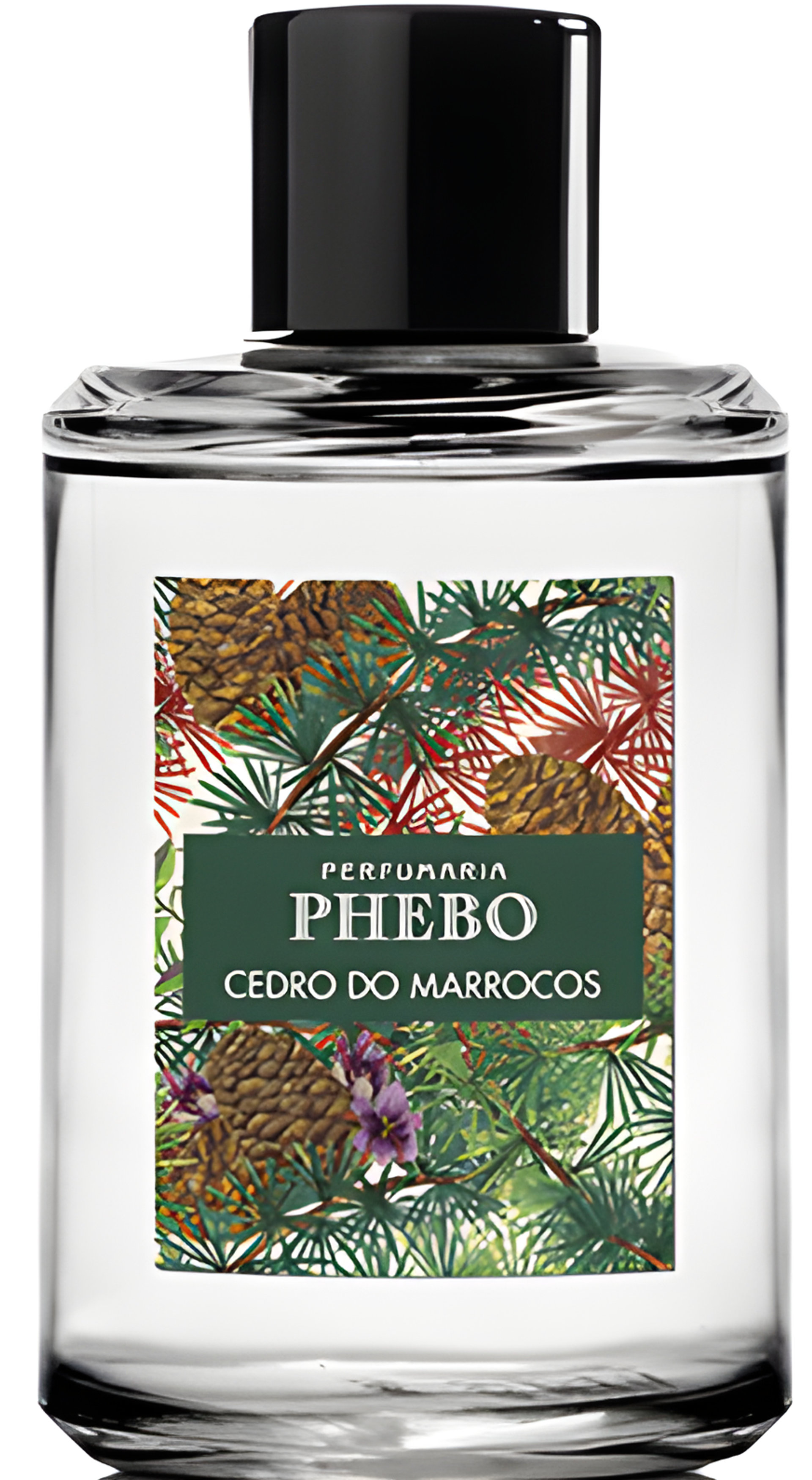 Picture of Cedro Do Marrocos fragrance