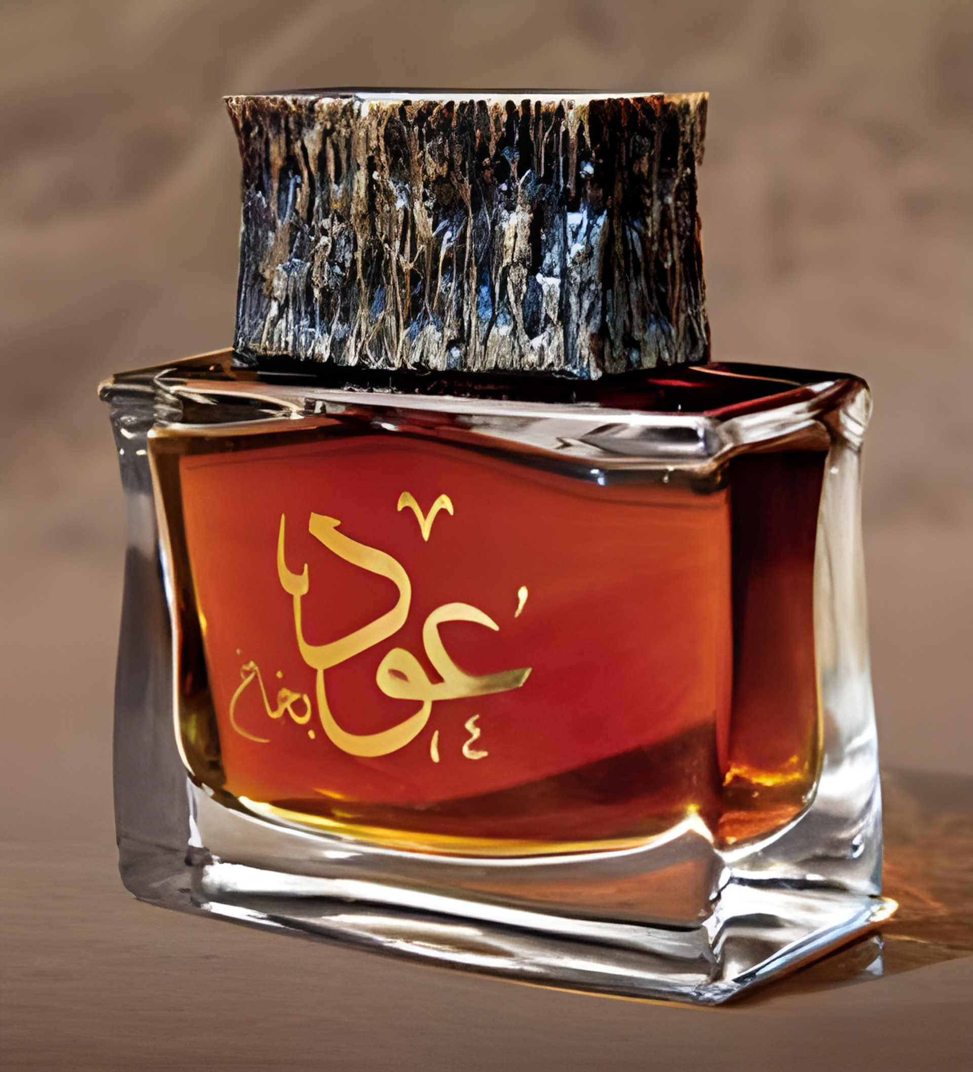 Picture of Oud Bakhakh fragrance