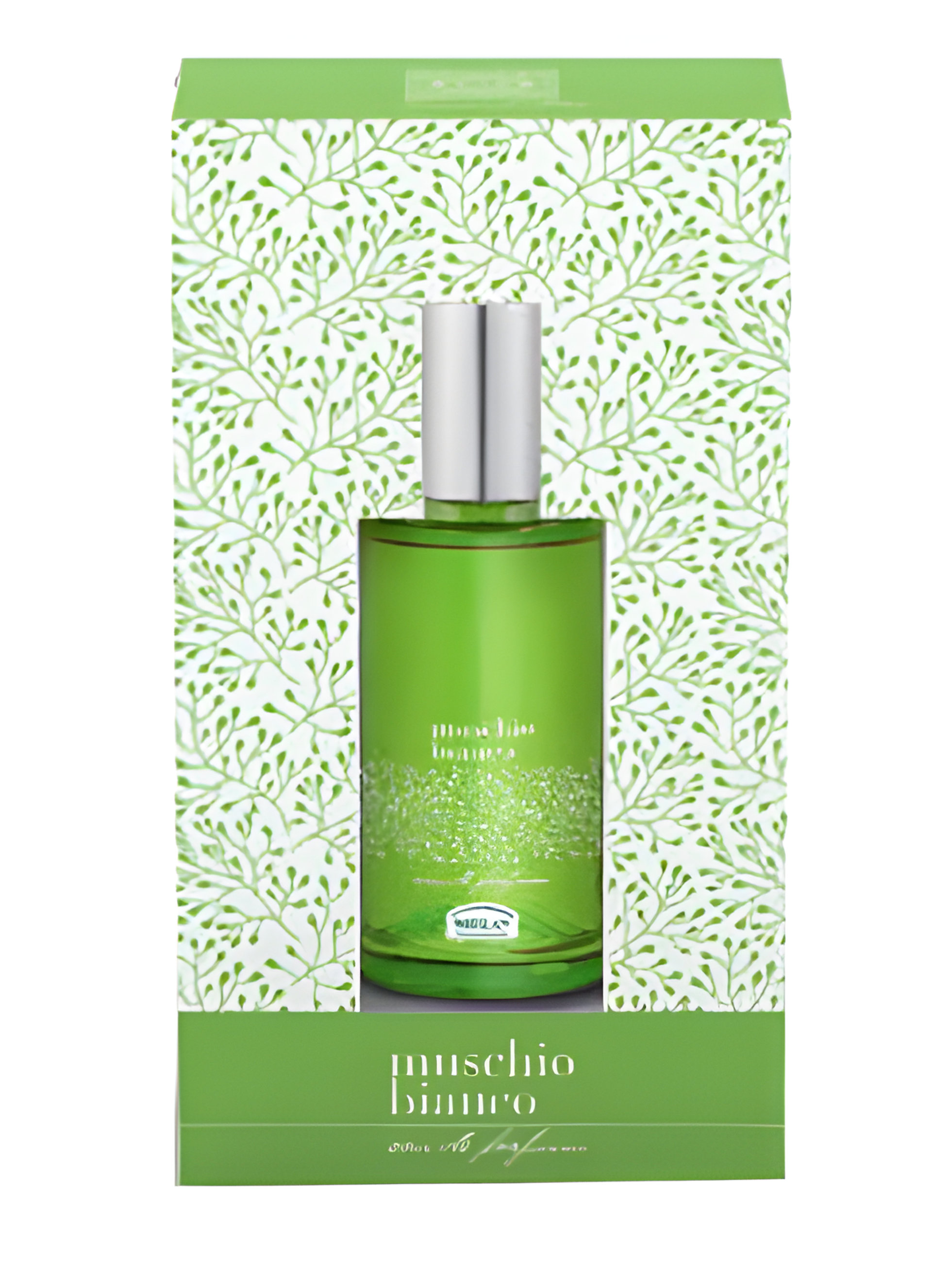 Picture of Muschio Bianco fragrance