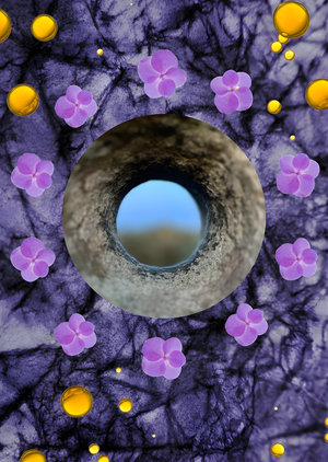 Crown of Violets by ånd fragrances perfume bottle