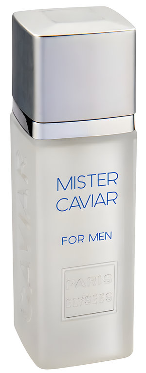 Mister Caviar by Paris Elysees perfume bottle