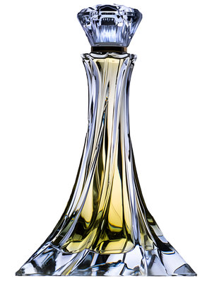 Amber Wood by Elegantes perfume bottle
