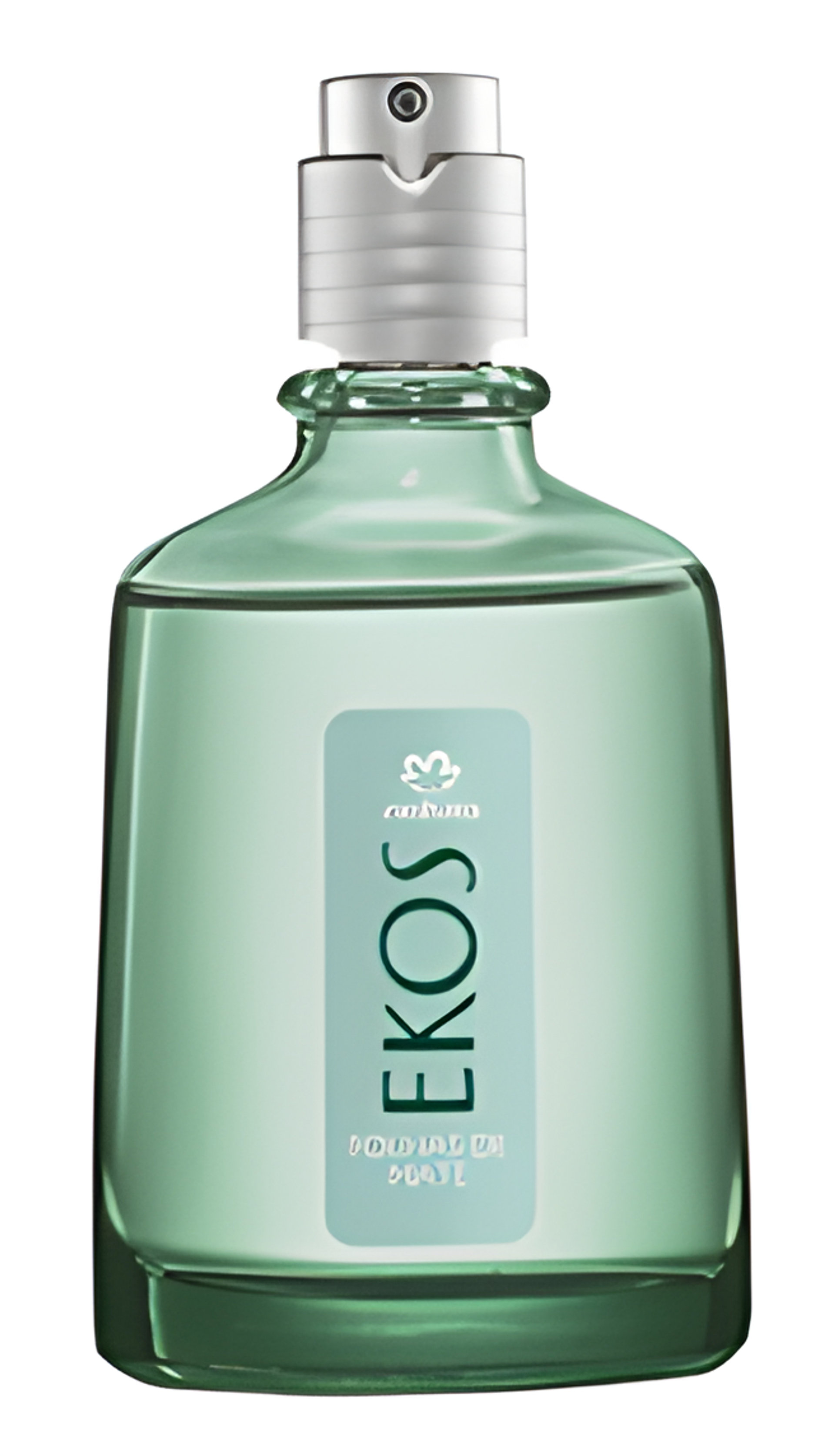 Picture of Mate Leaves (Folhas de Mate) fragrance