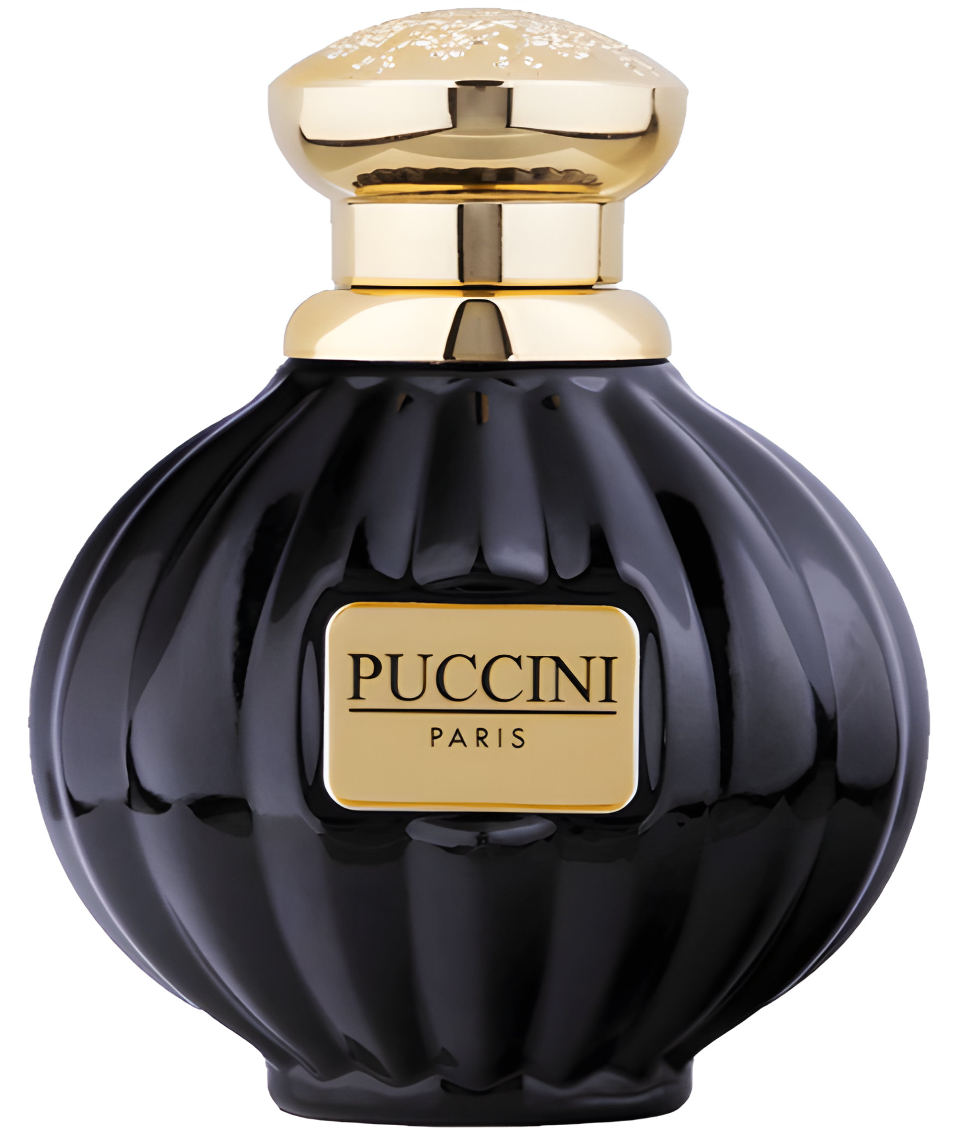 Picture of Puccini Black Pearl fragrance