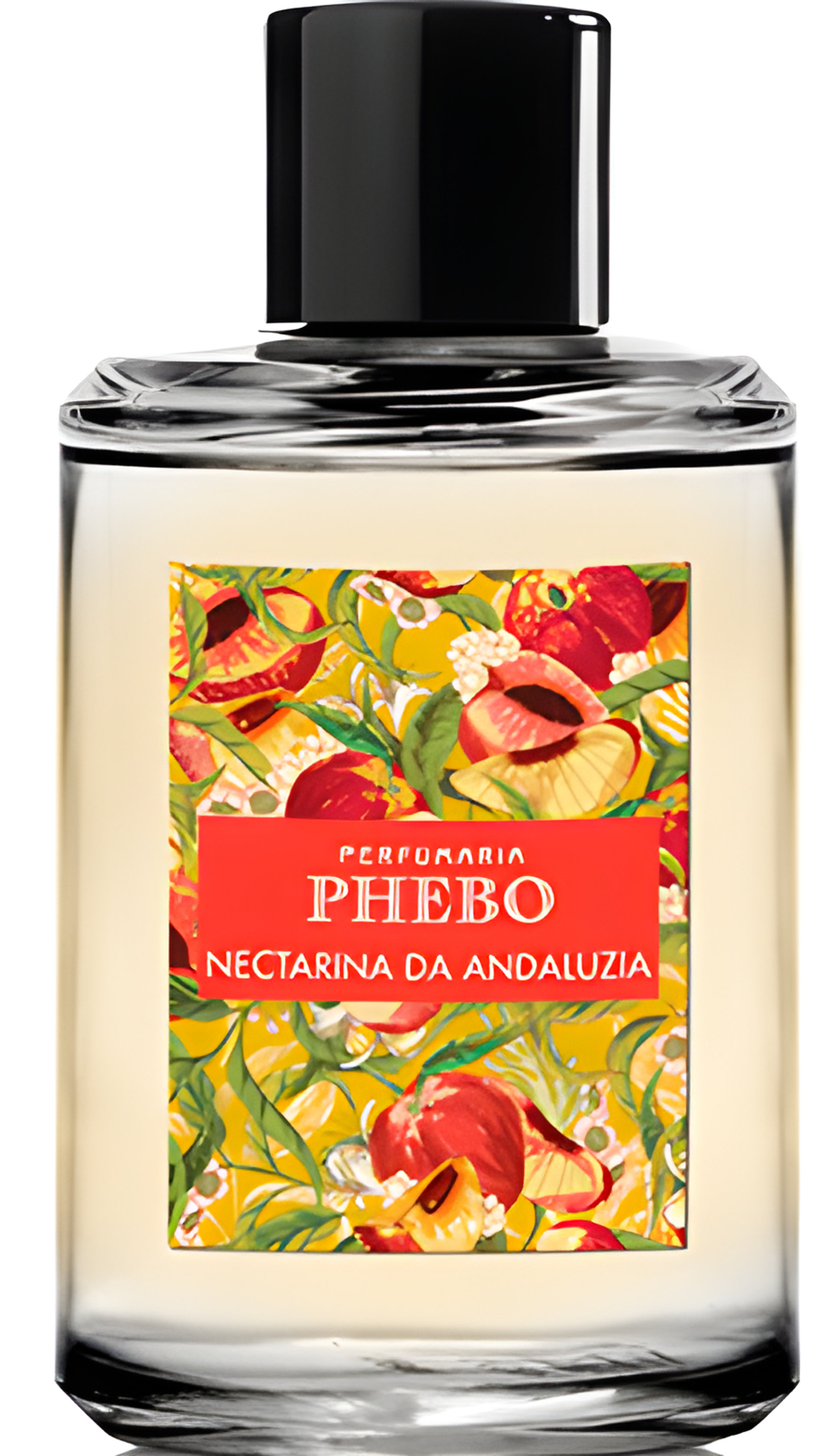 Picture of Nectarina Da Andaluzia fragrance