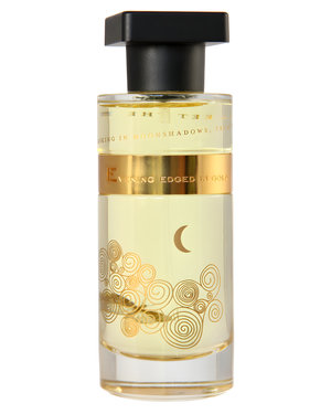 Evening Edged in Gold by Ineke perfume bottle