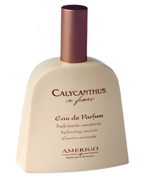Calycanthus in Fiore by Amerigo perfume bottle