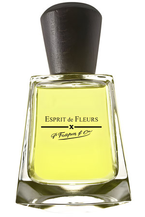 Esprit de Fleurs by Frapin perfume bottle