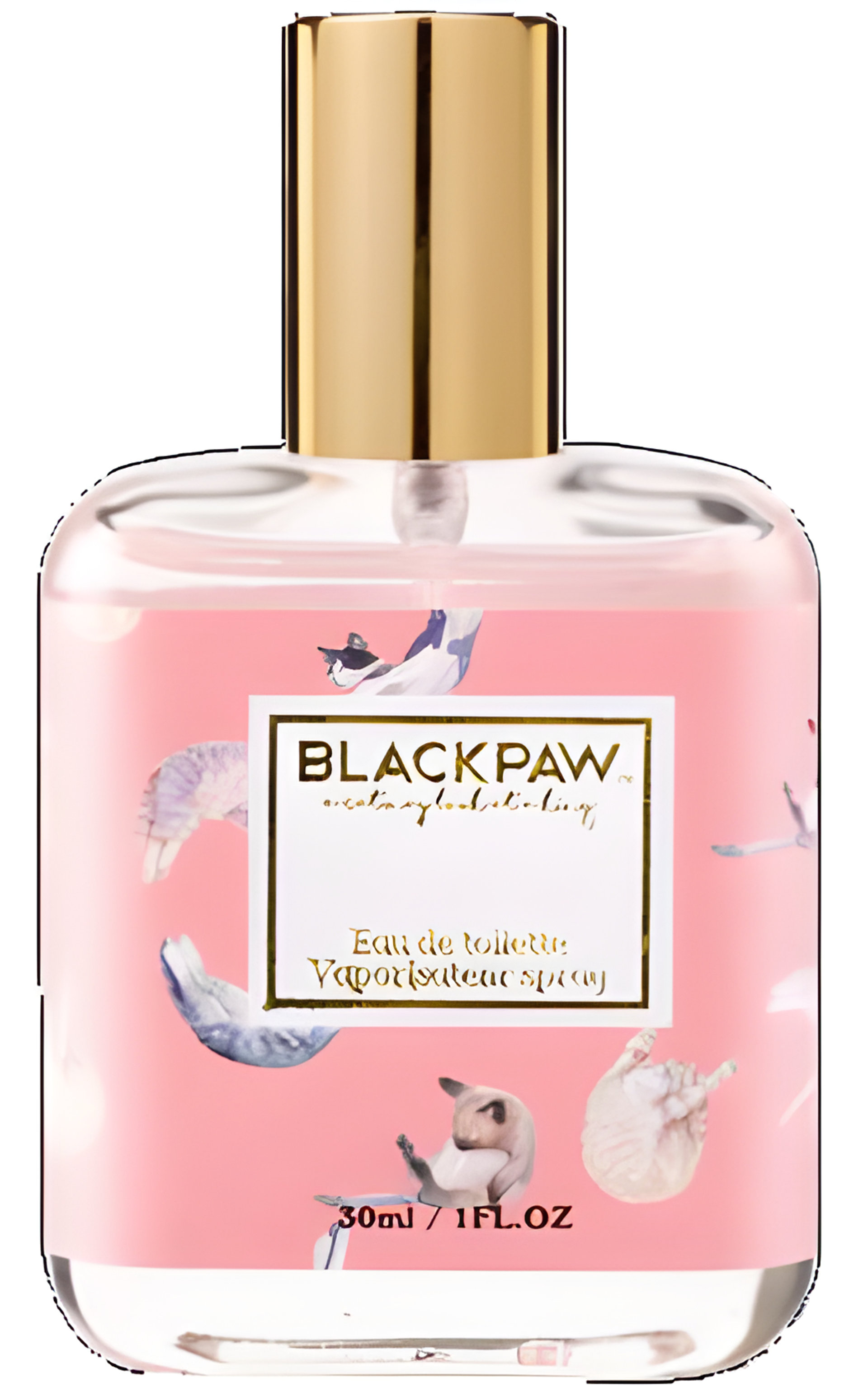 Picture of Little Milk Cat fragrance