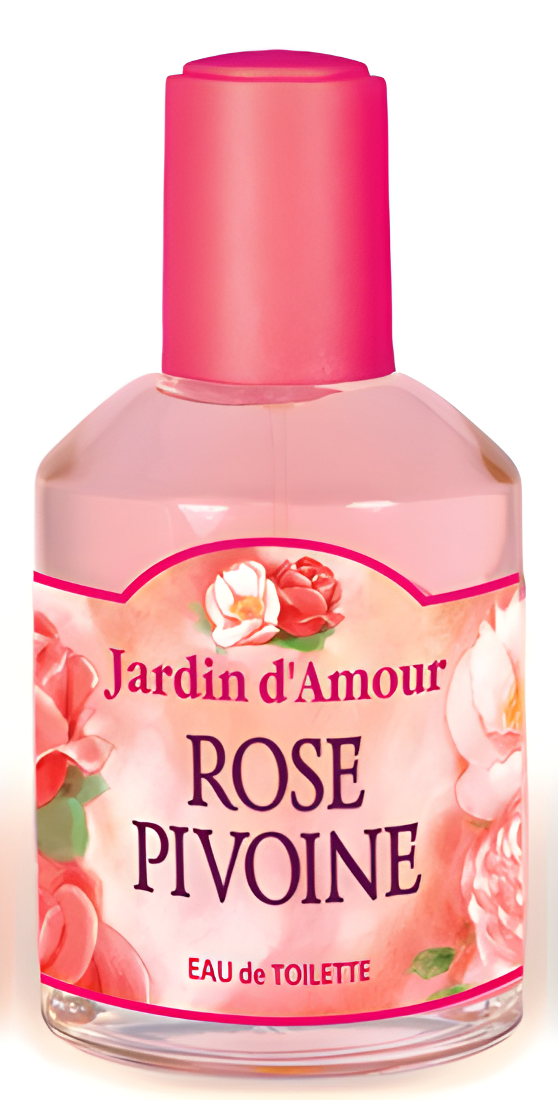 Picture of Rose Pivoine fragrance
