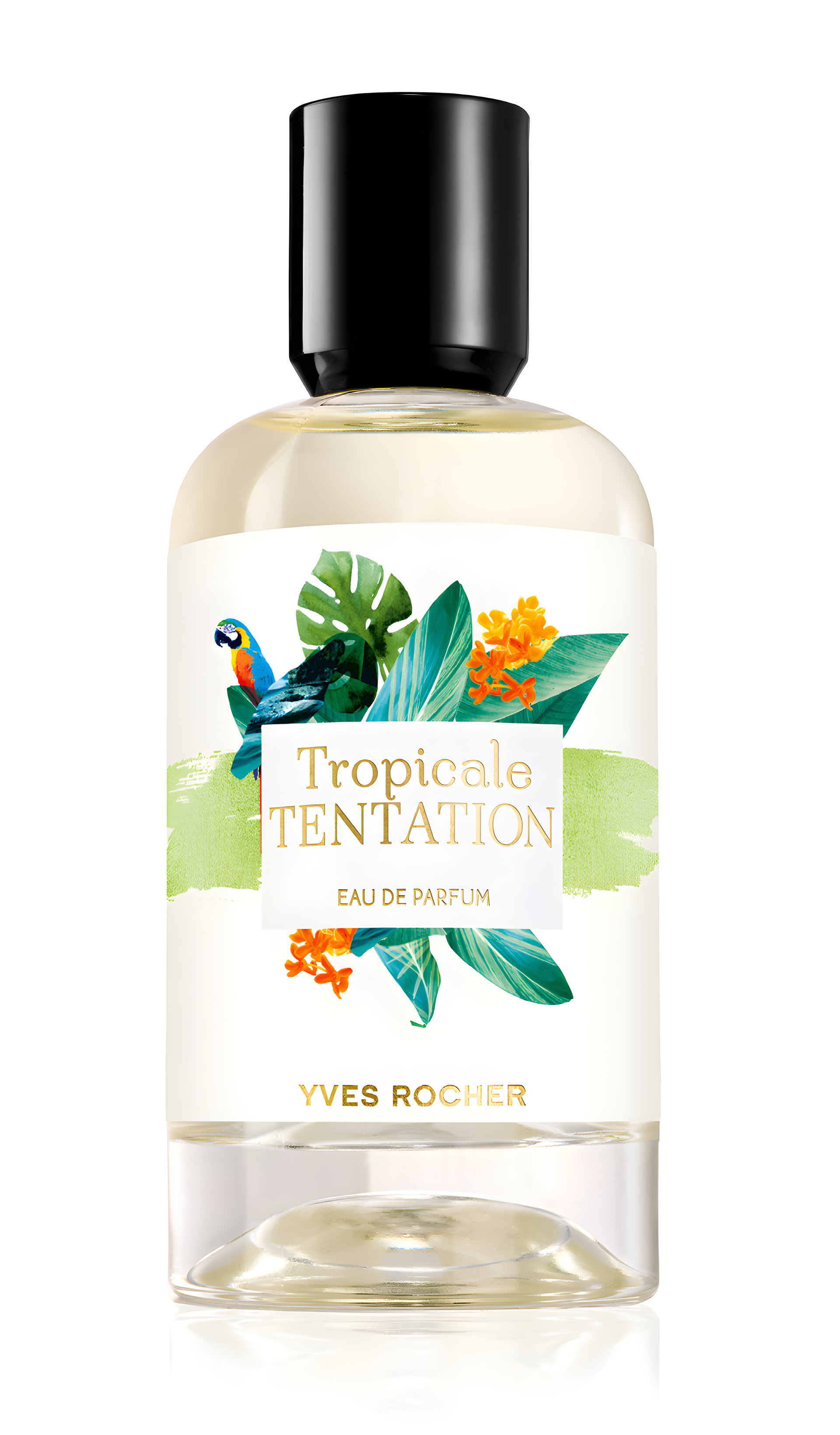Picture of Tropicale Tentation fragrance