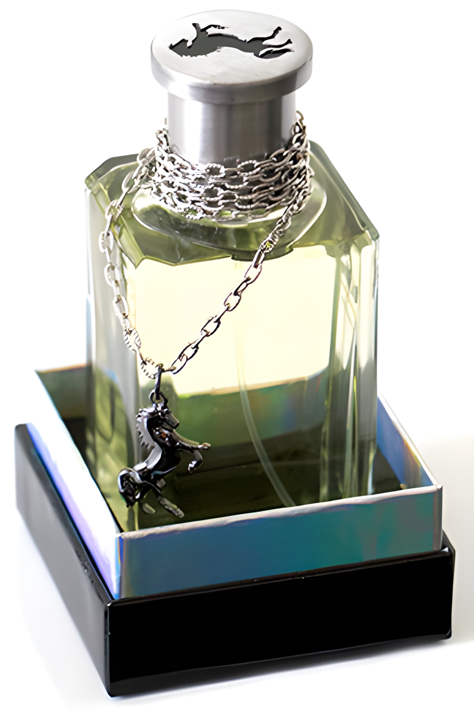 Picture of Black Stallion by Sergio Goyri fragrance