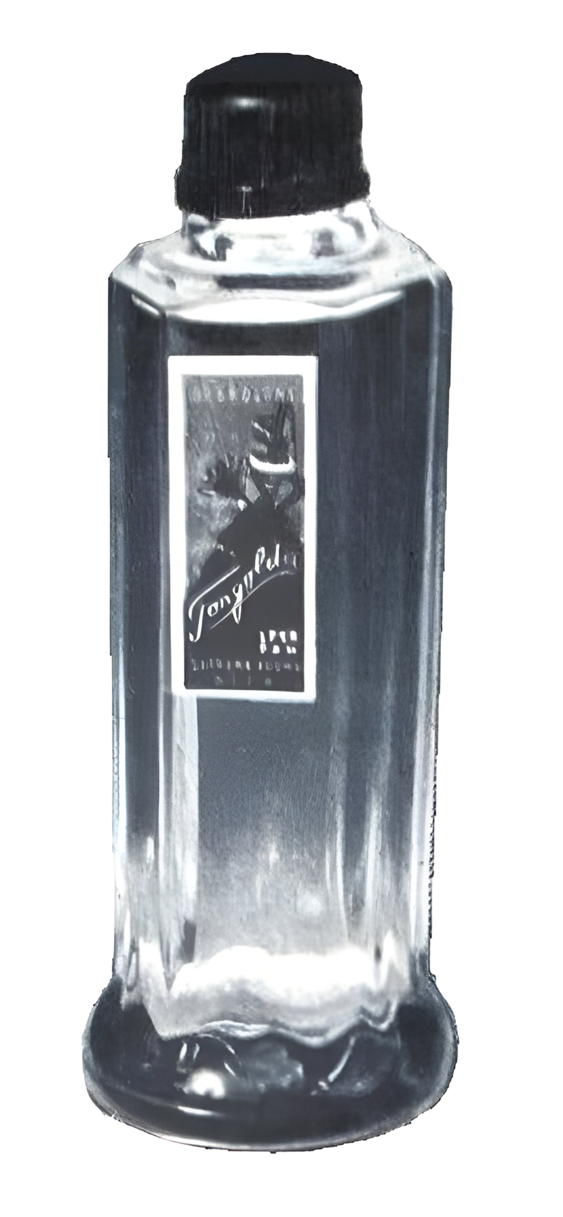 Picture of Tangolita fragrance