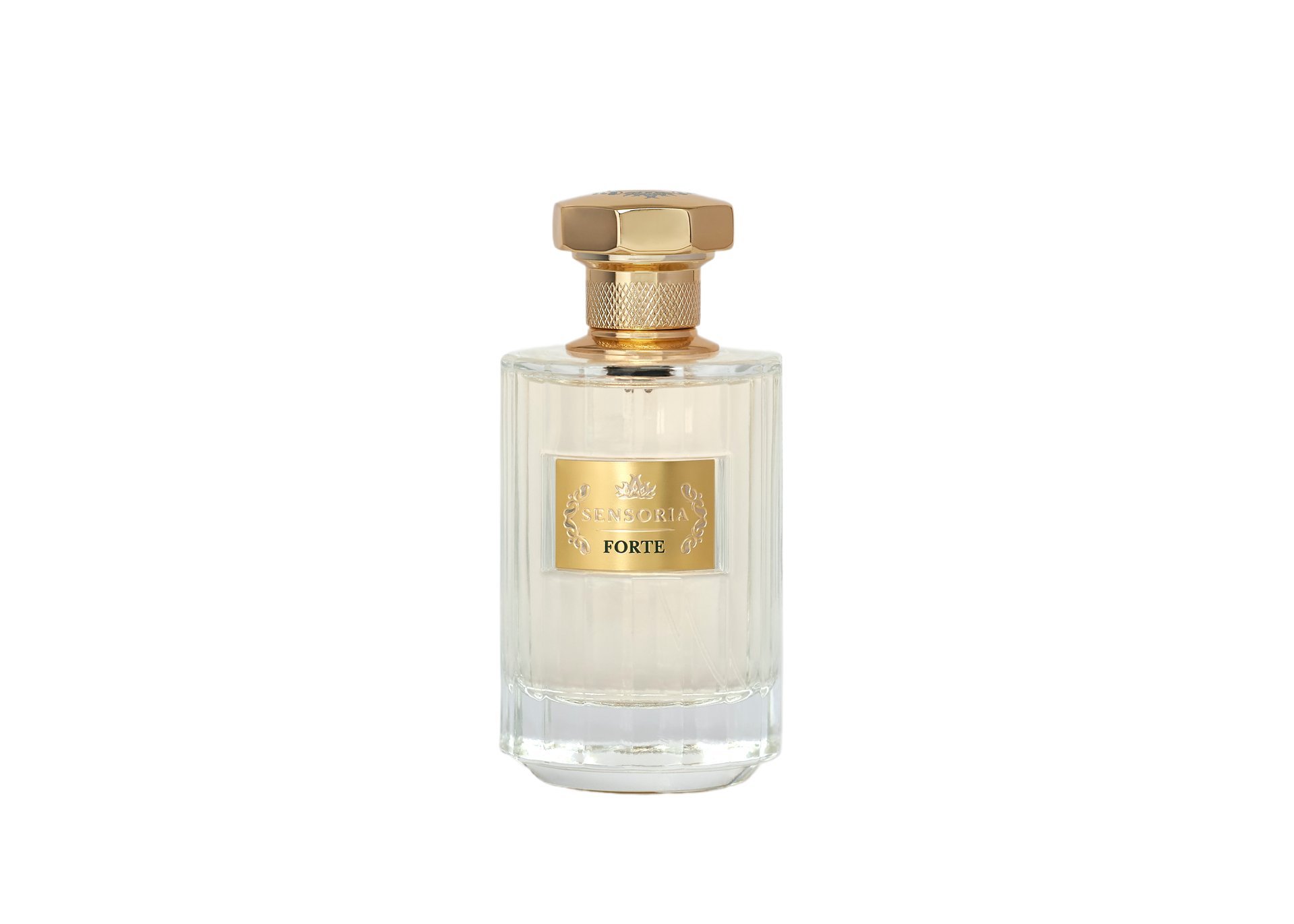 Picture of Forte fragrance