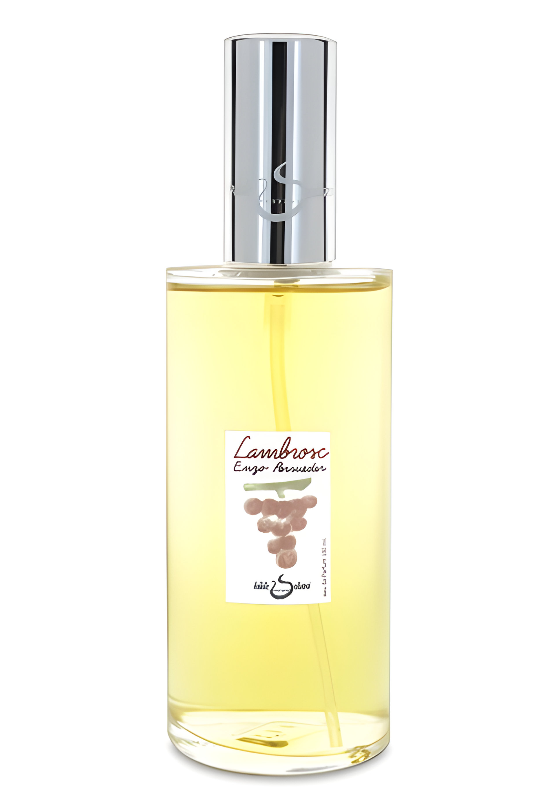 Picture of Lambrosc fragrance