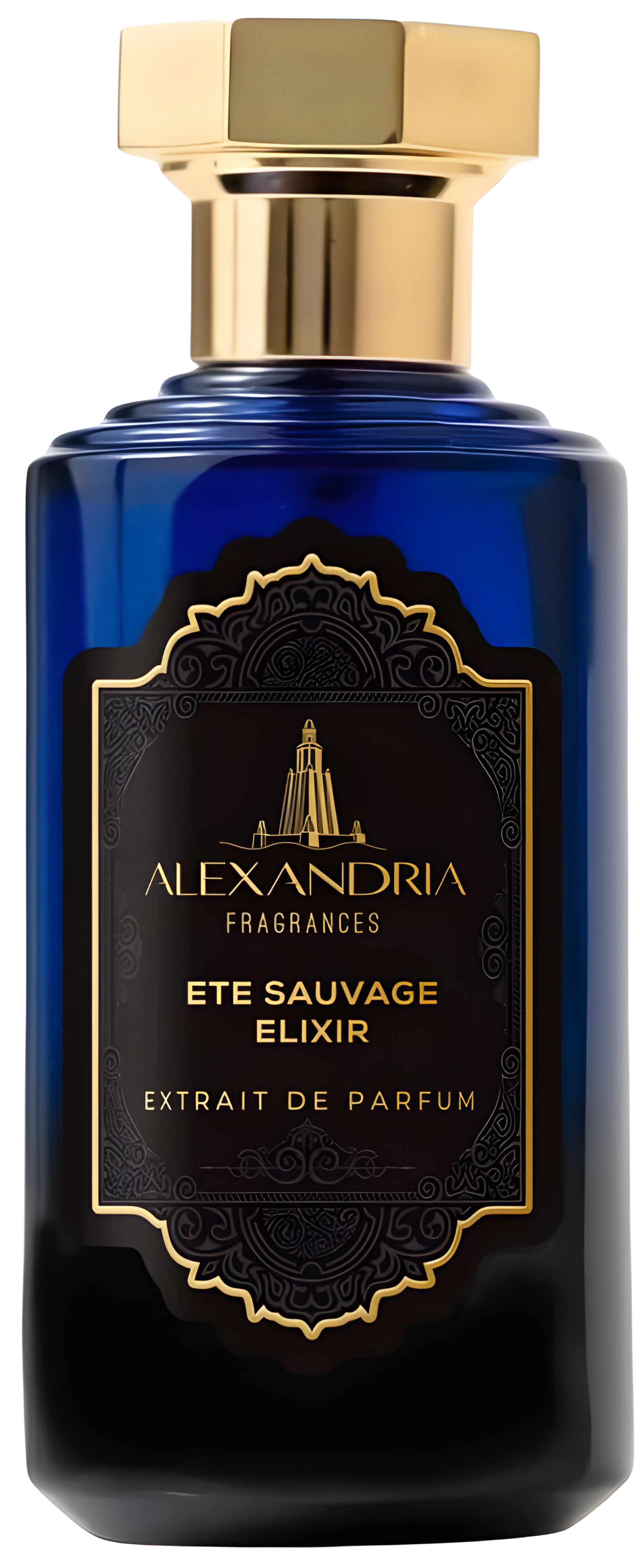 Picture of Ete Sauvage Elixir fragrance
