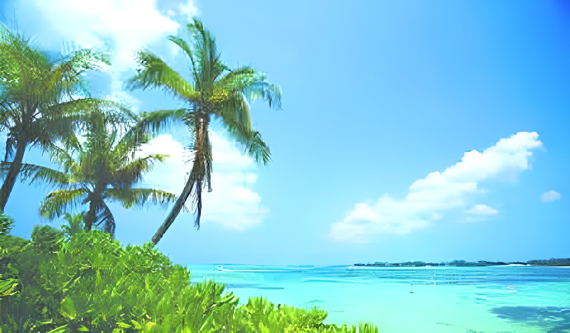 Picture of Tea of the Isles fragrance