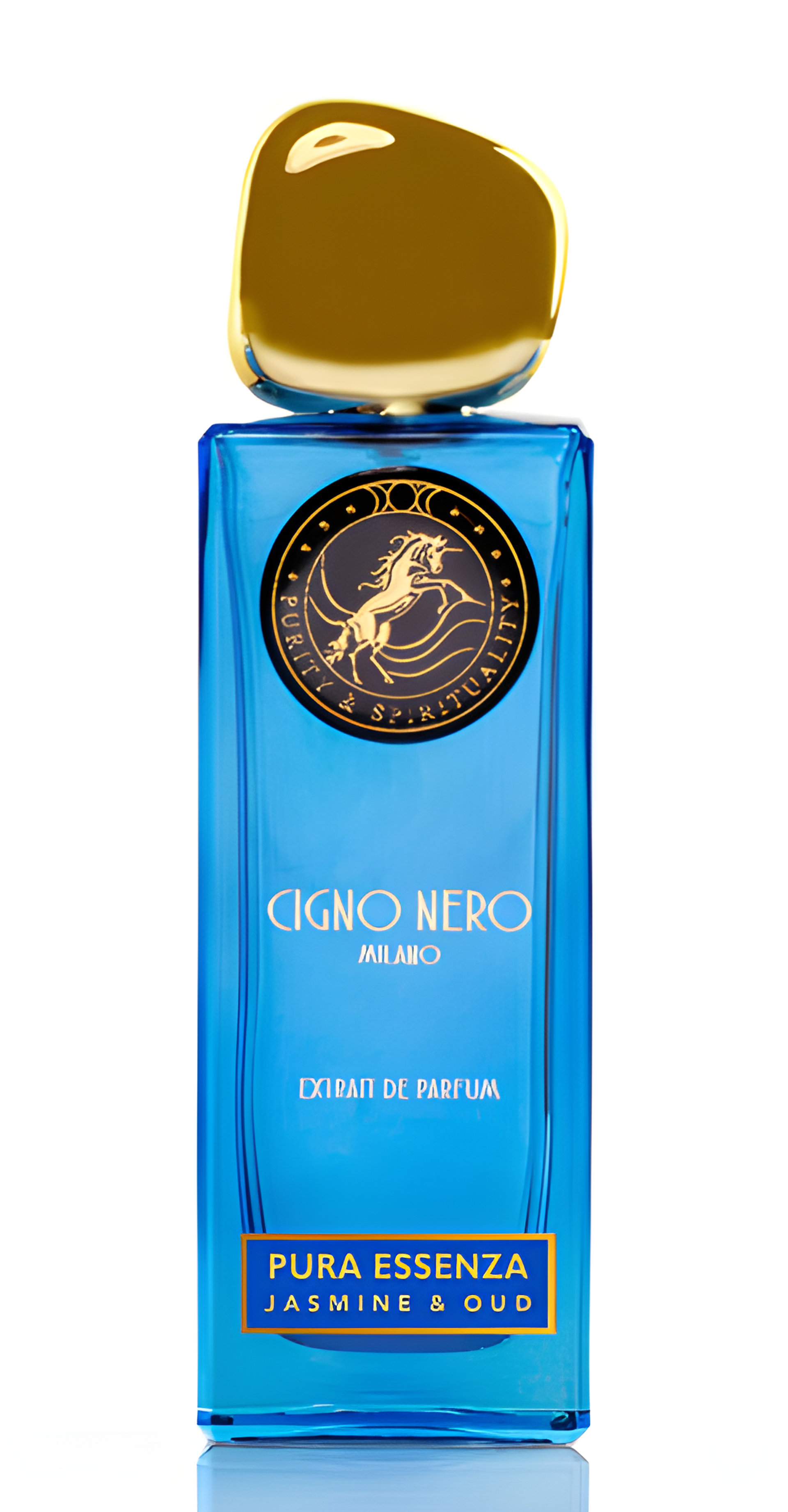 Picture of Pura Essenza fragrance